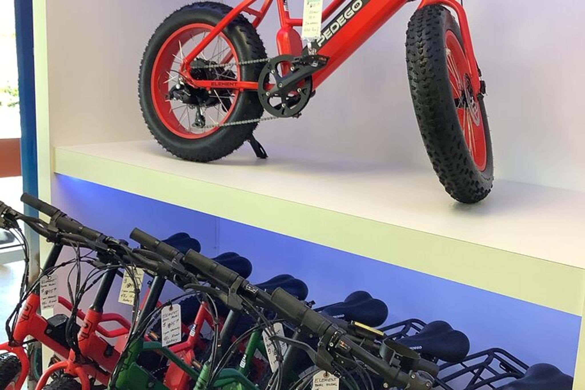 Dunedin Electric Bike Rental