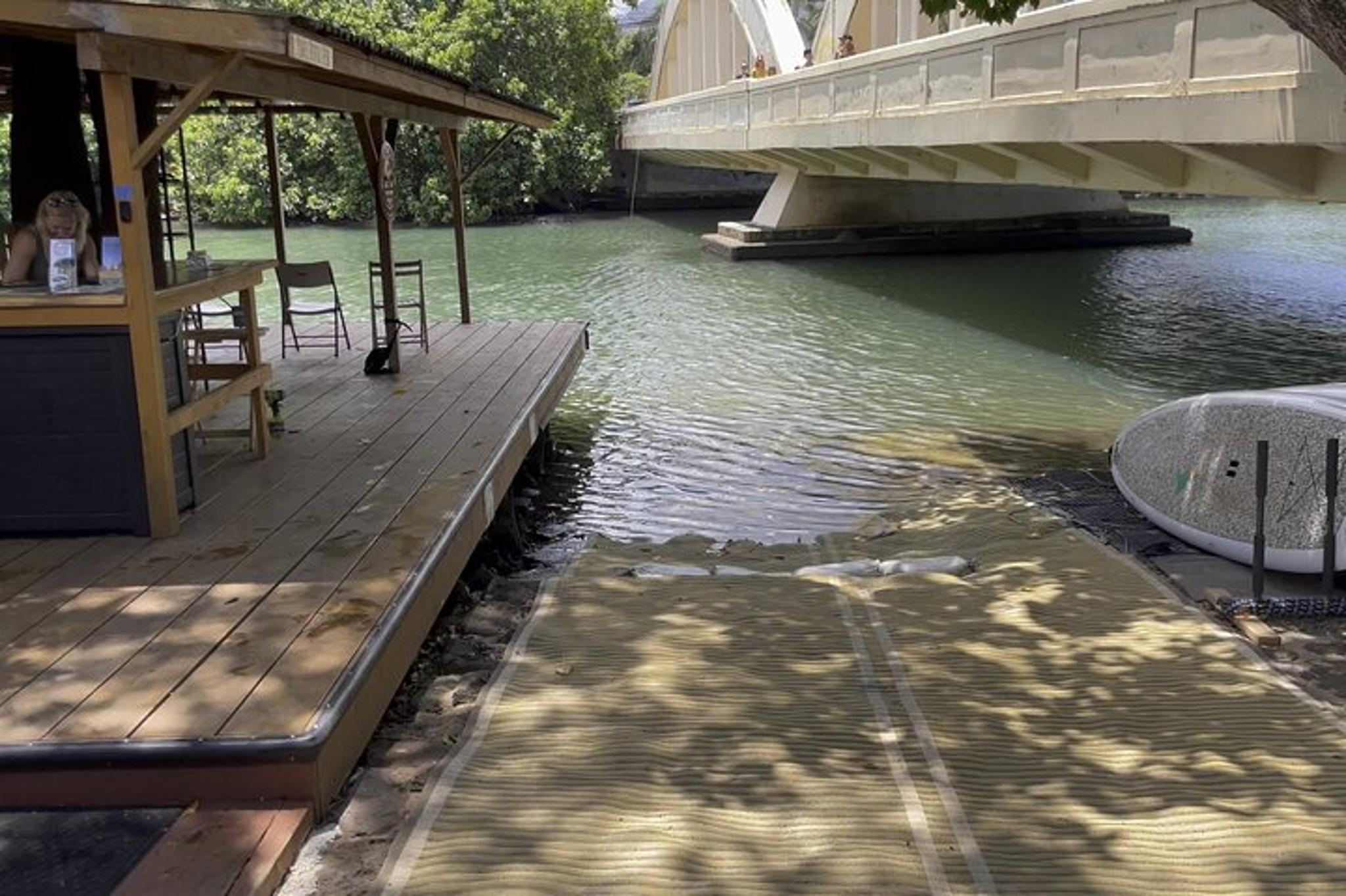 Haleiwa Paddle Board Rental on Anahulu River - Image 5