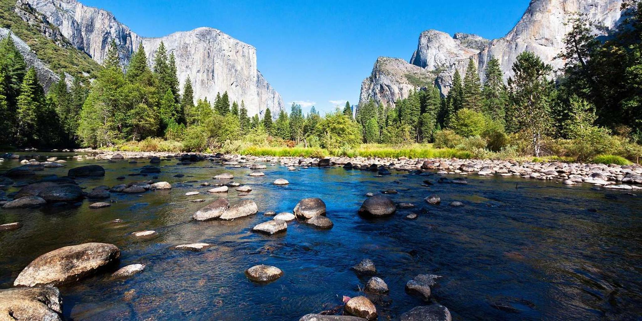 San Francisco Yosemite National Park Day Trip - Image 4