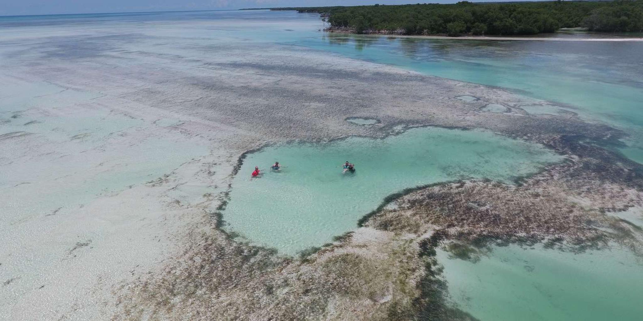 Key West Eco Safari Sandbar Tour with Snorkeling - Image 5