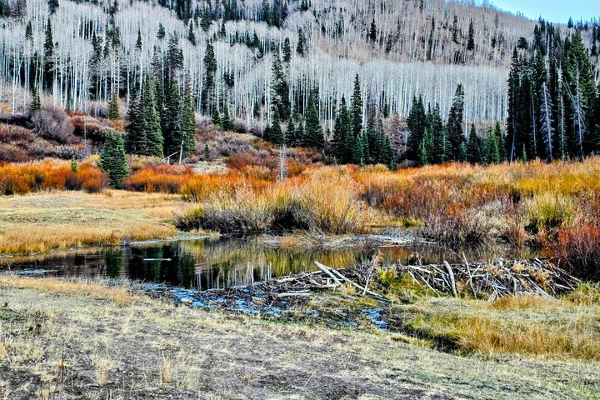 Heber Valley Off-Road Adventure - Image 5