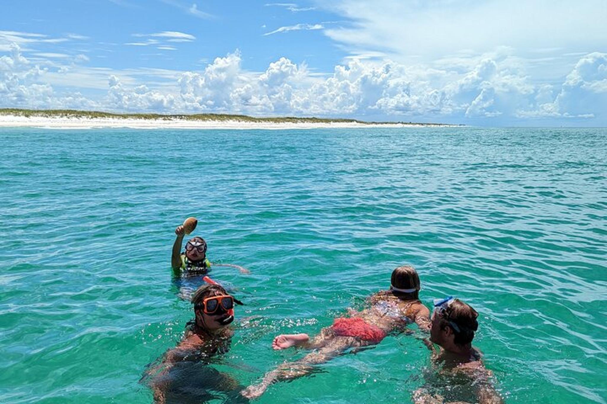Panama City Dolphin Tour with Marine Biologist 3 hr - Image 5
