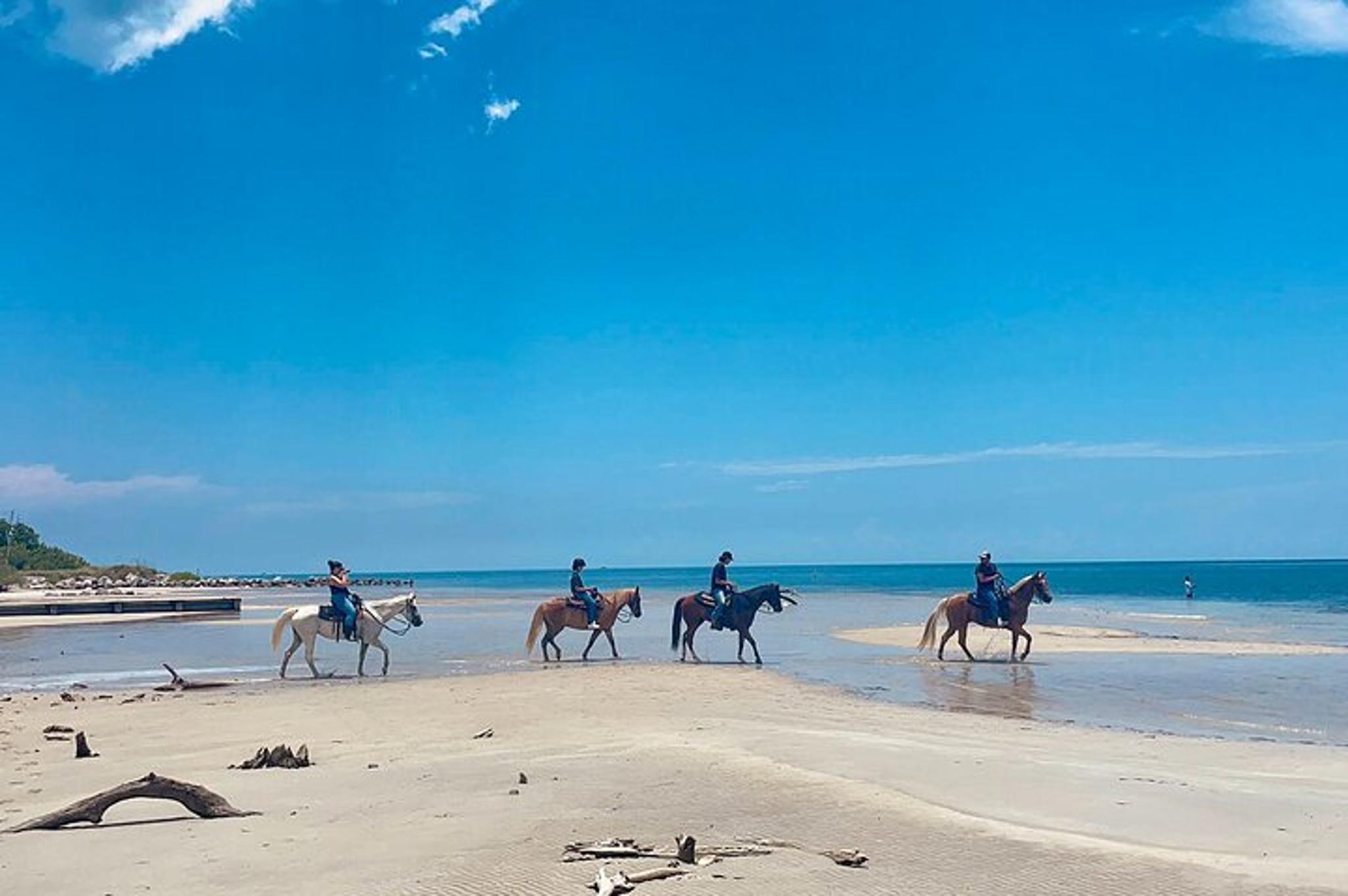 Miami Horseback Riding on Pristine Waters
