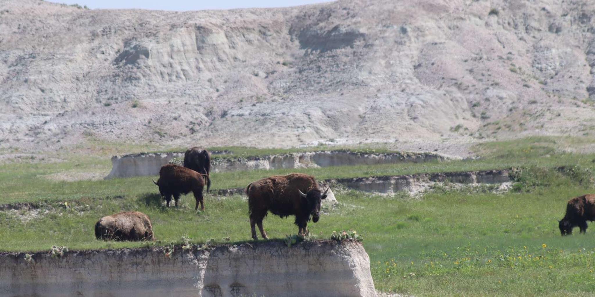Rapid City Badlands Sunset and Night Sky Tour - Image 4