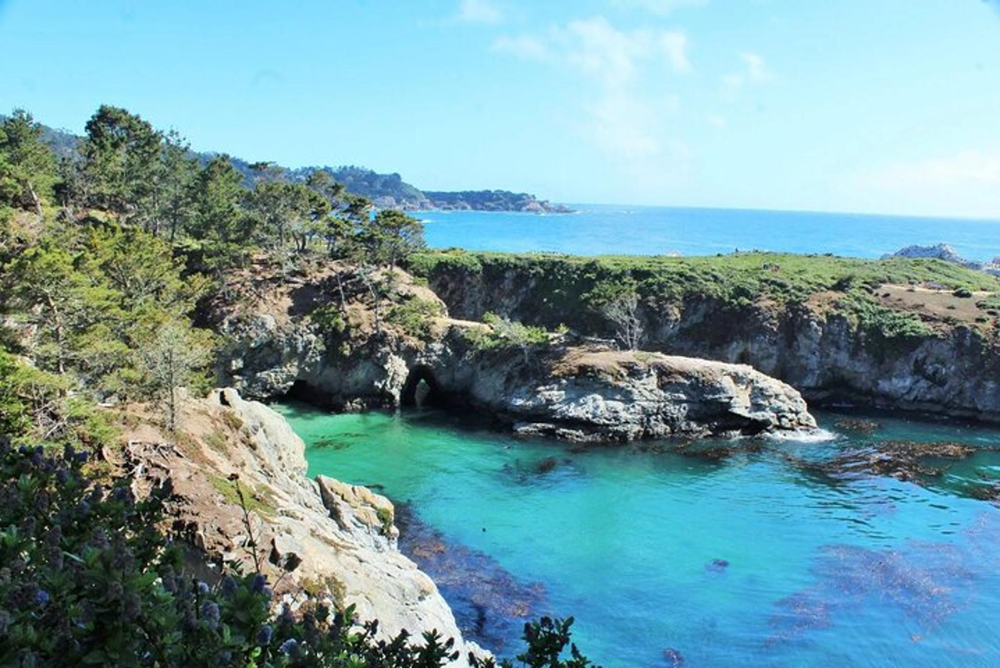 Point Lobos Self-Guided App Tour