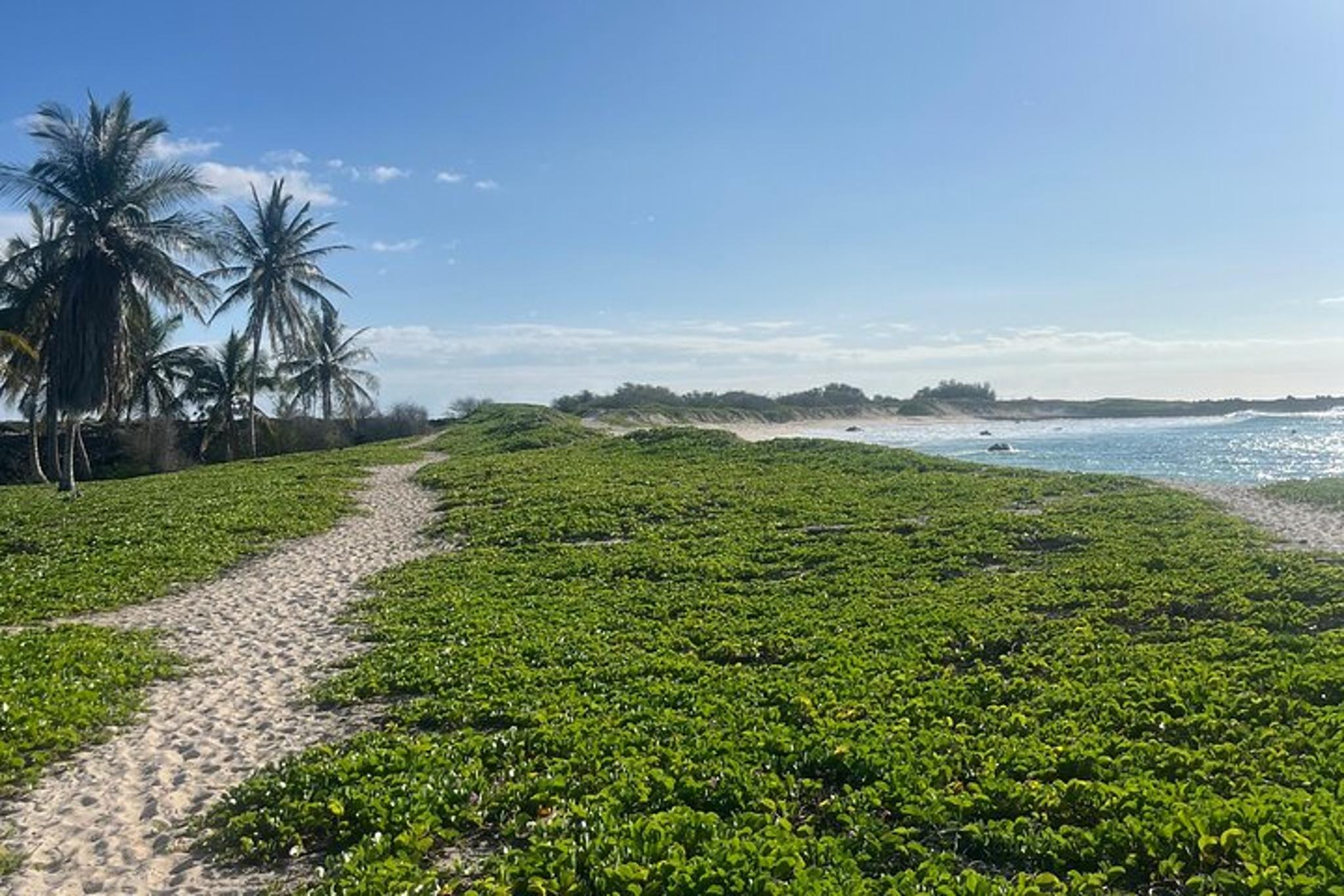 Kailua-Kona Hike and Swim with Native Hawaiian - Image 5