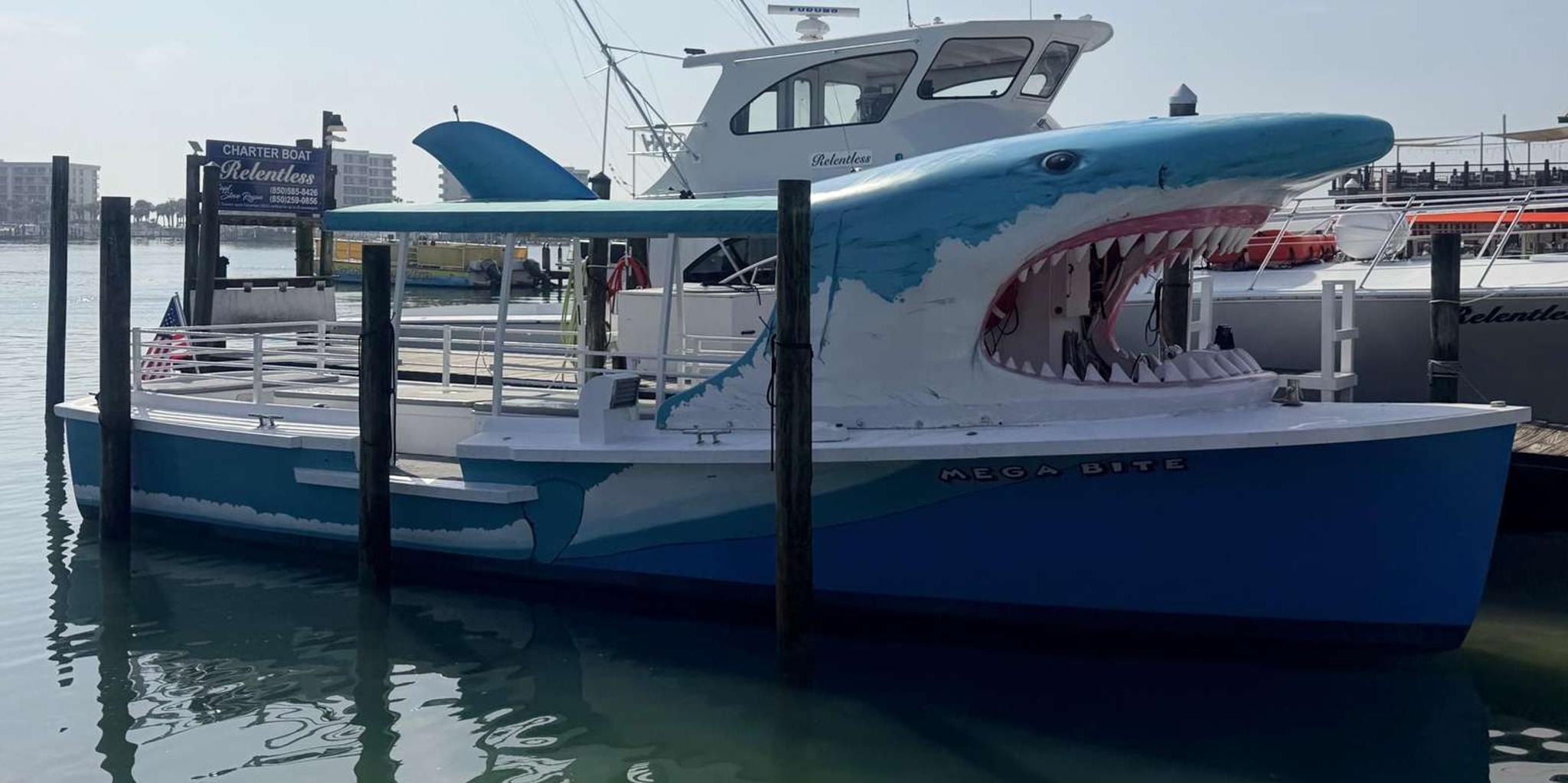 Destin Dolphin Watching and Sunset Cruise - Image 6
