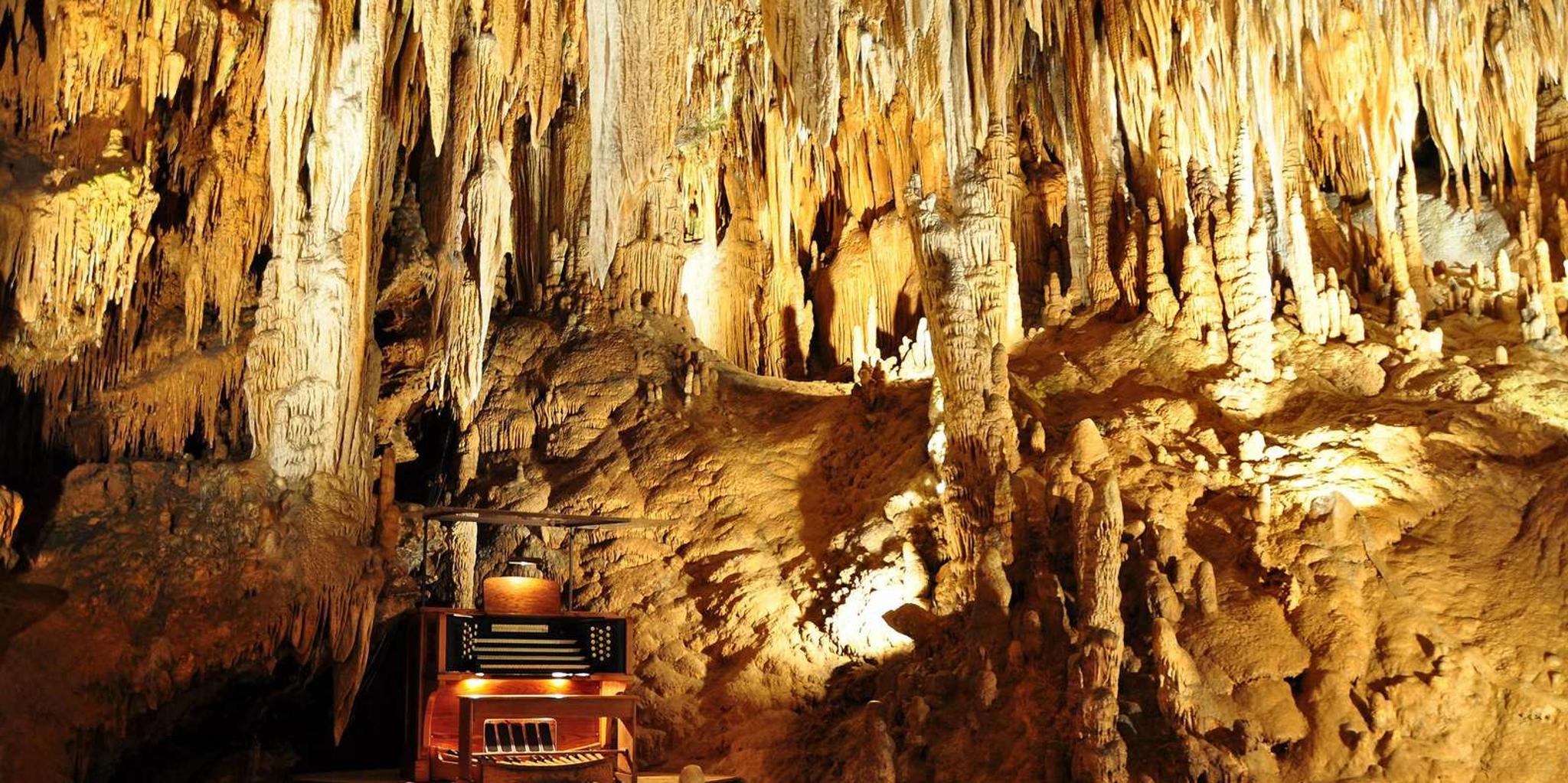 Washington DC Luray Caverns Day Trip - Image 5