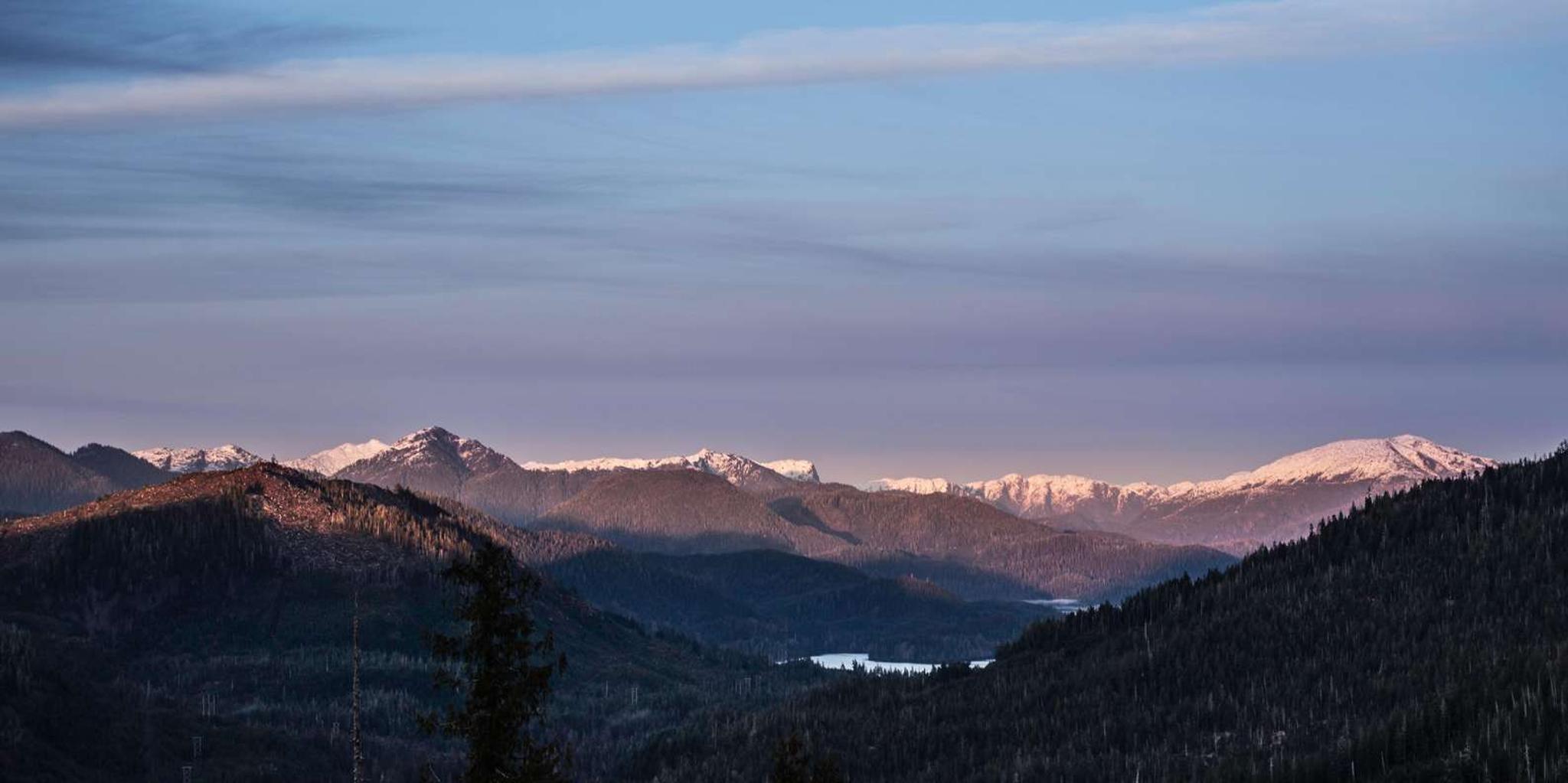 Ketchikan SUV Backcountry Adventure - Image 4