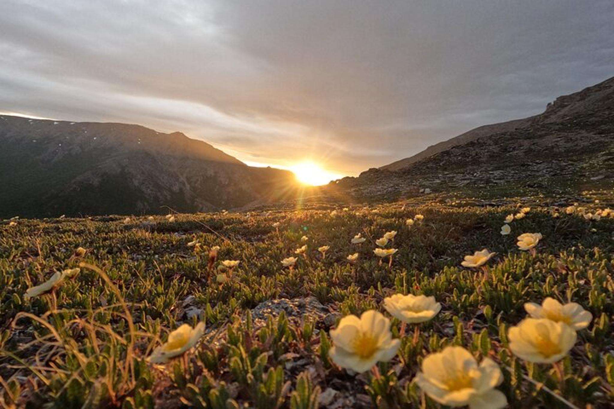 Denali Park Tour from Fairbanks - Image 2