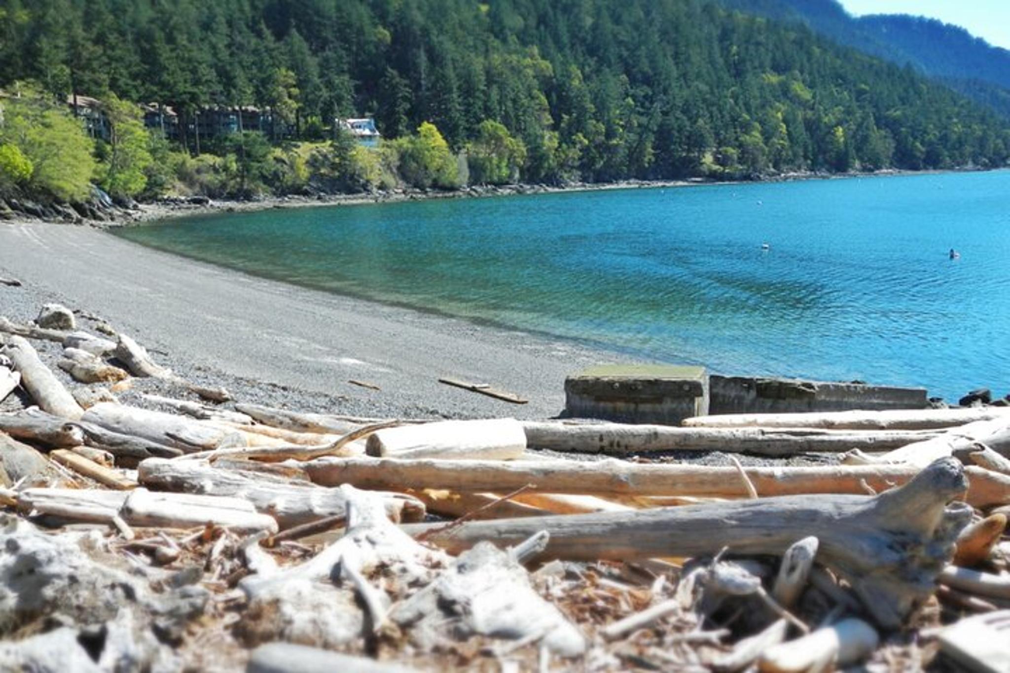 Orcas Island Kayaking Adventure - Image 4