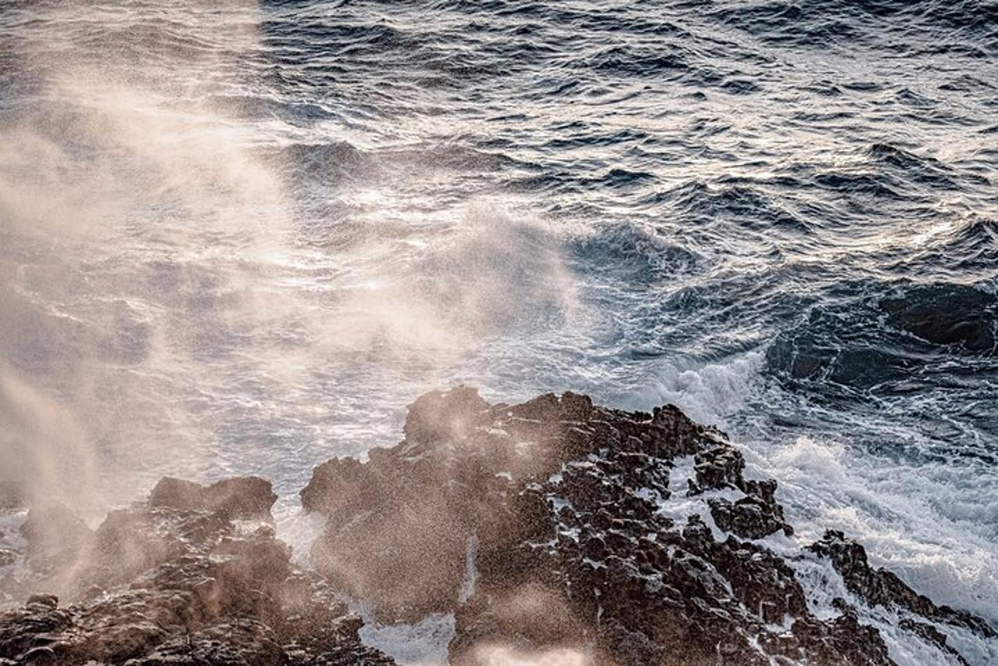 Oahu North Shore Private Tour - Image 3