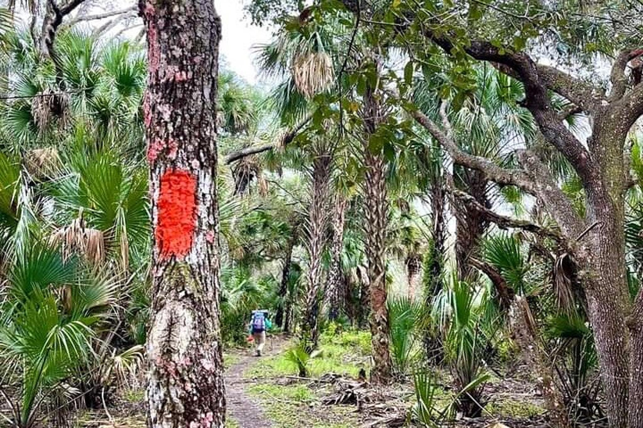 Florida Backcountry Day Hike - Image 3