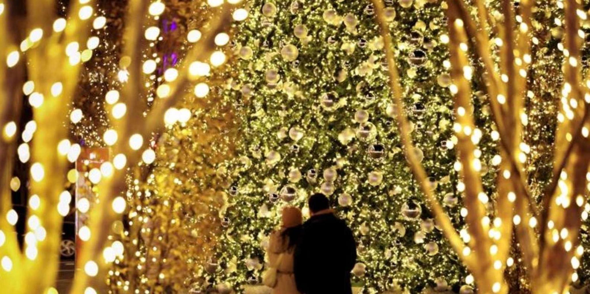 Washington DC Holiday Walking Tour with Hot Cocoa - Image 2