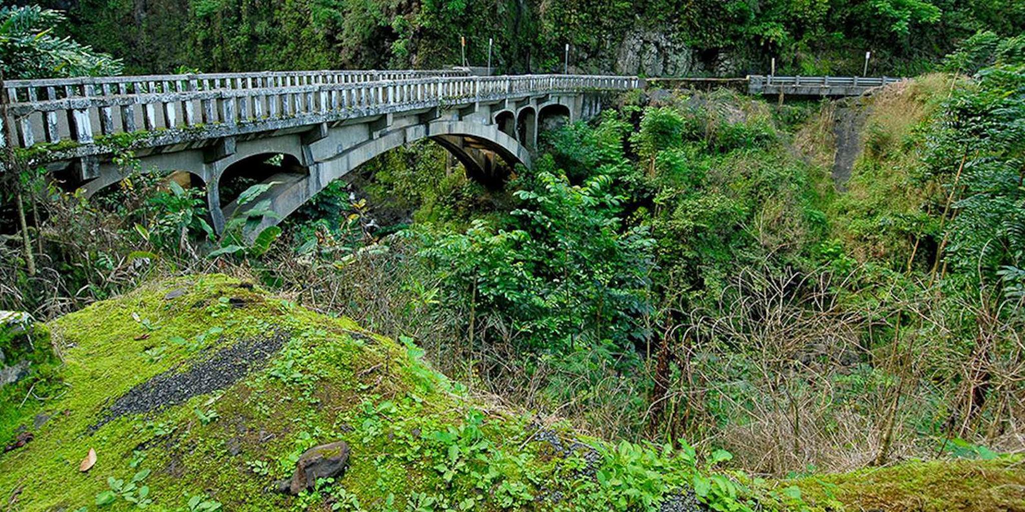 Maui Road to Hana Adventure Tour - Image 3