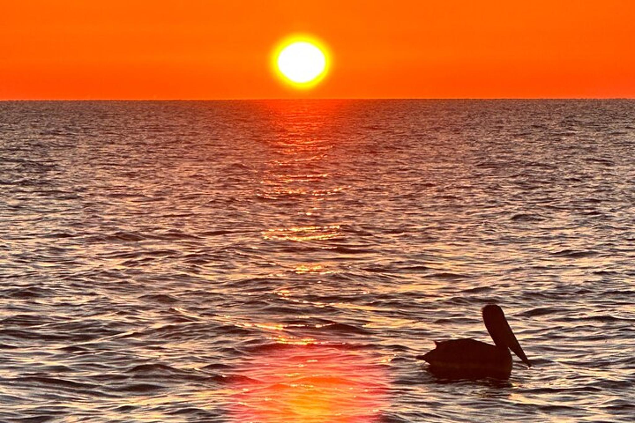 Daytona Beach Sunrise Cruise on the Atlantic Ocean
