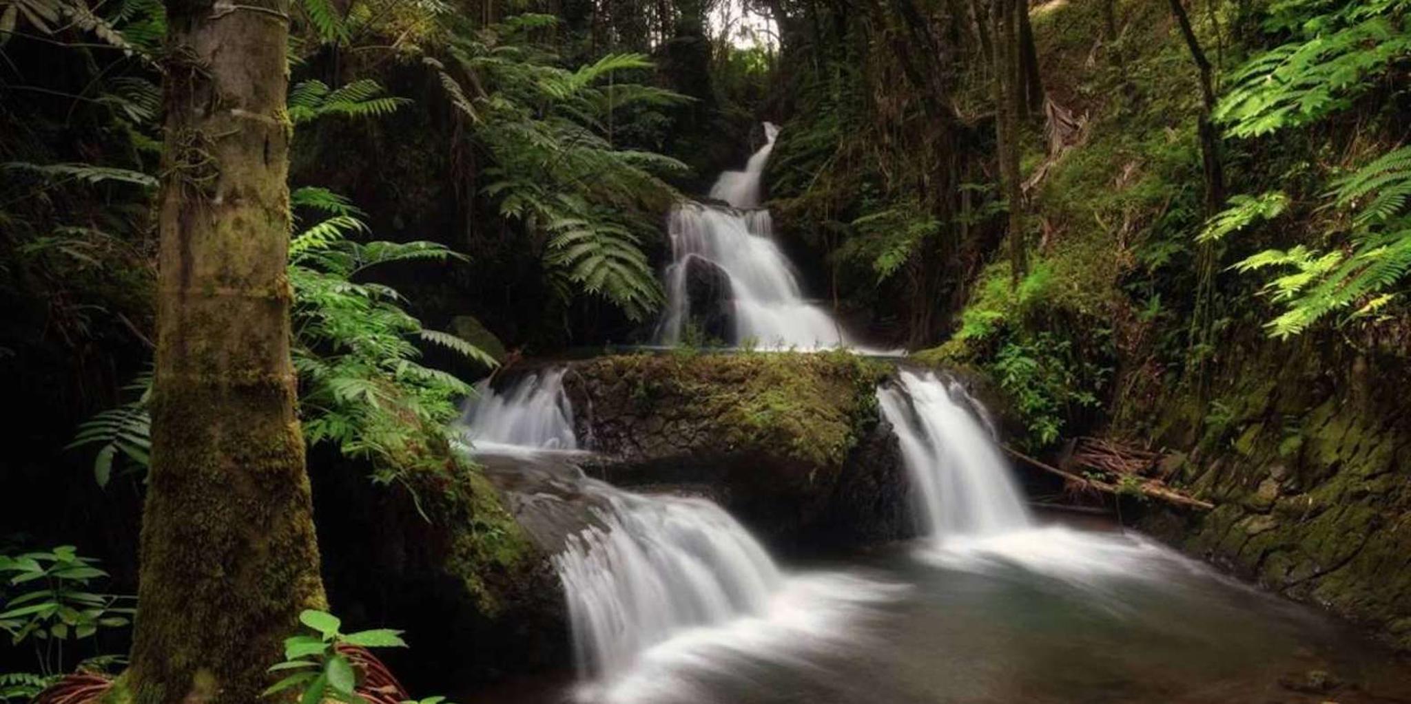 Big Island Waterfall Tour with Botanical Garden - Image 4