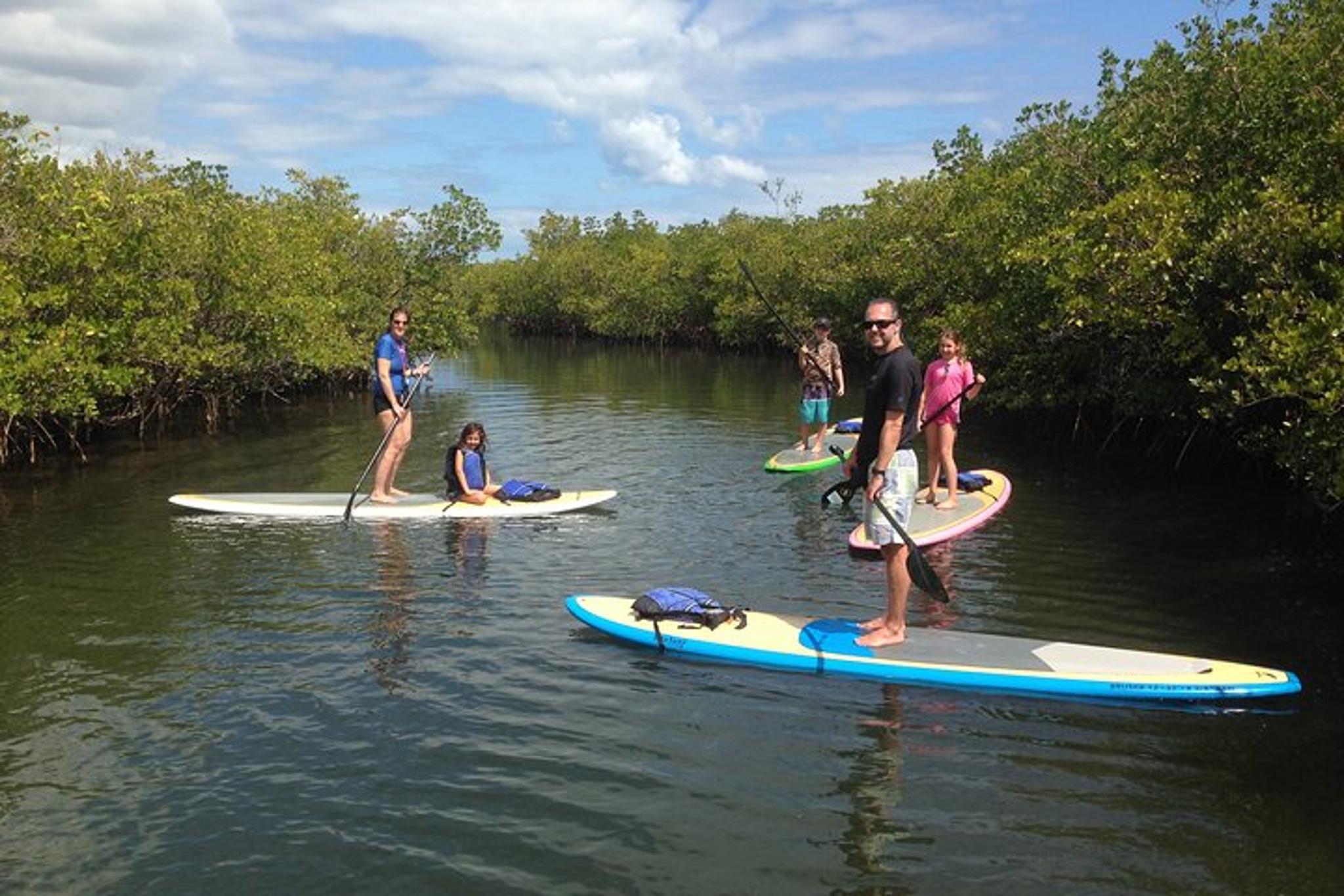 John D. MacArthur Beach Paddle Boarding Rental 2 hr - Image 2