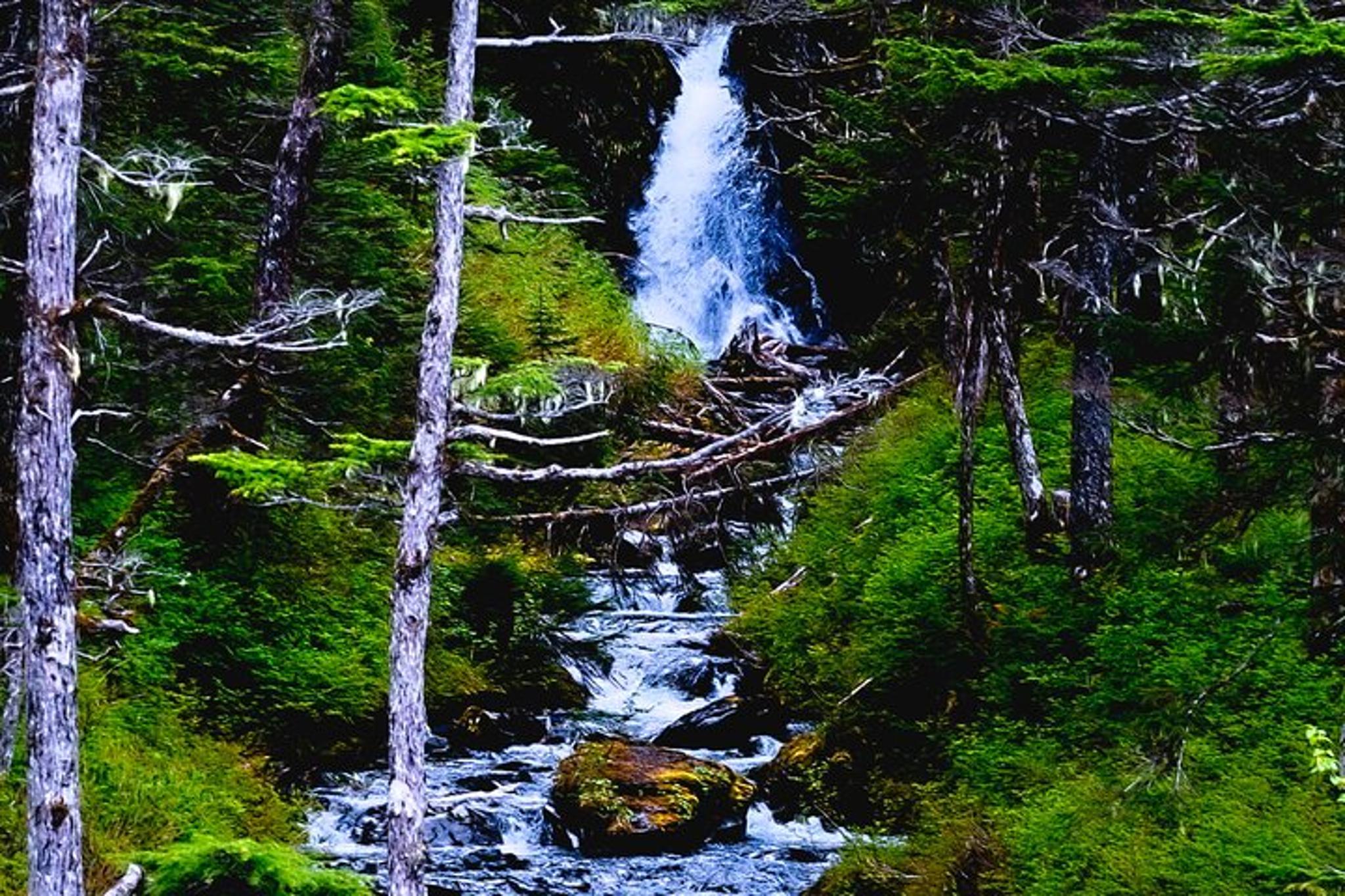 Anchorage Wilderness Photo Tour - Image 3