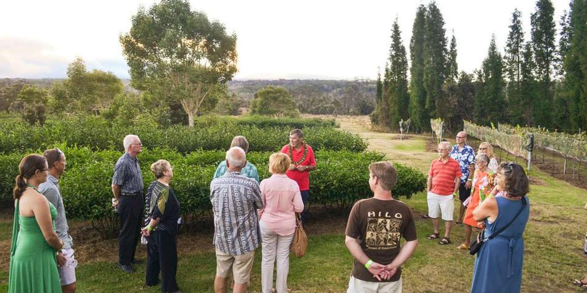 Kona Volcano Explorer Tour - Image 4