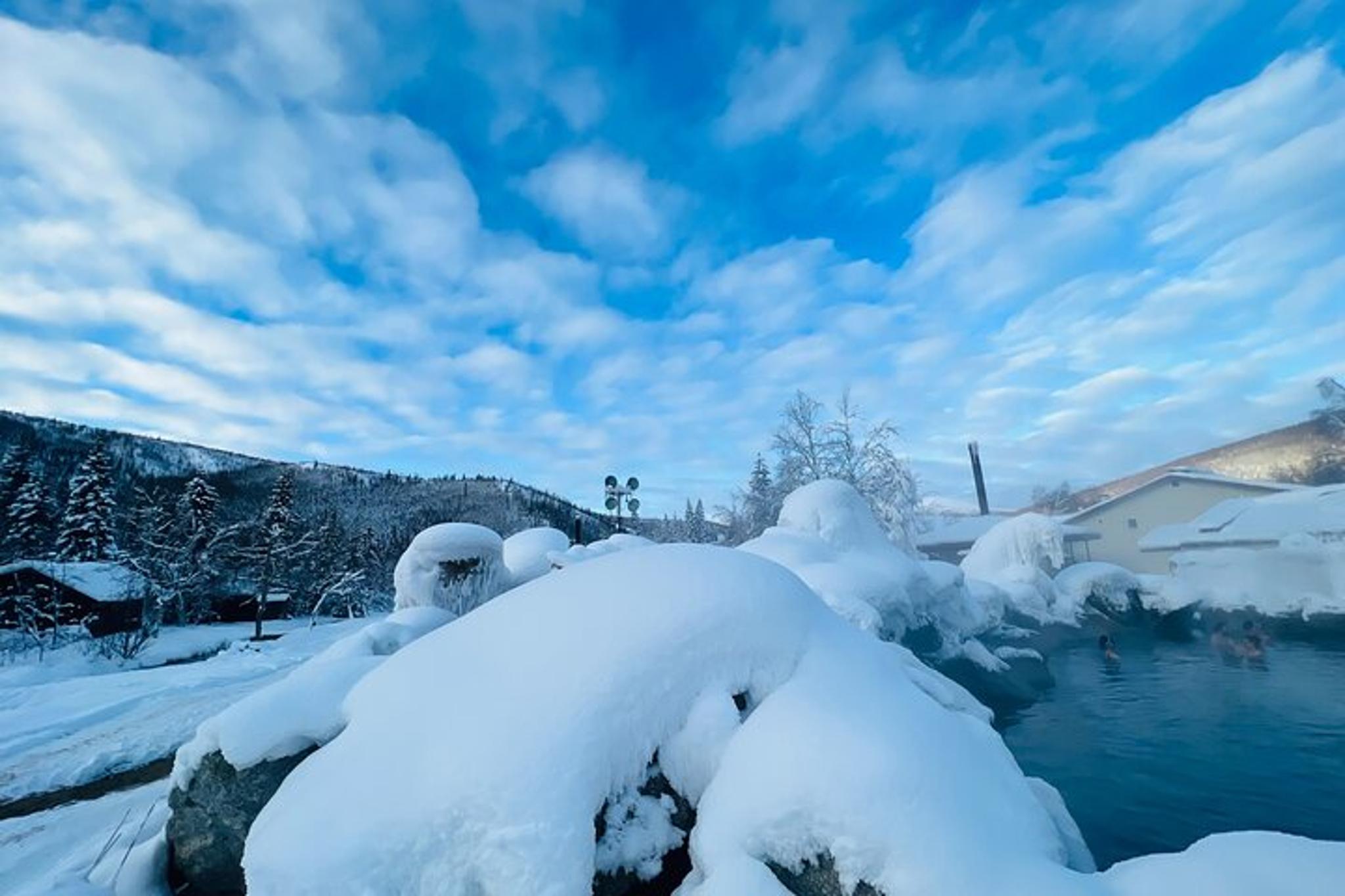 Fairbanks Chena Hot Springs Day Tour - Image 6