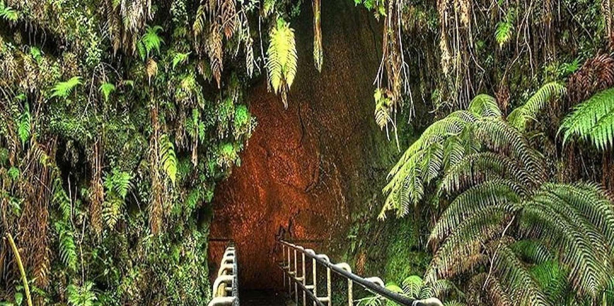 Hawaii Volcanoes National Park Tour from Maui - Image 5