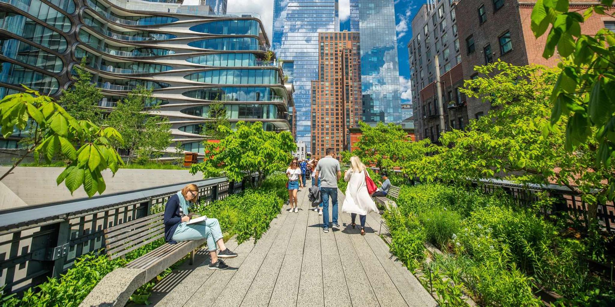 New York City High Line and Chelsea Tour with Edge Entry - Image 6