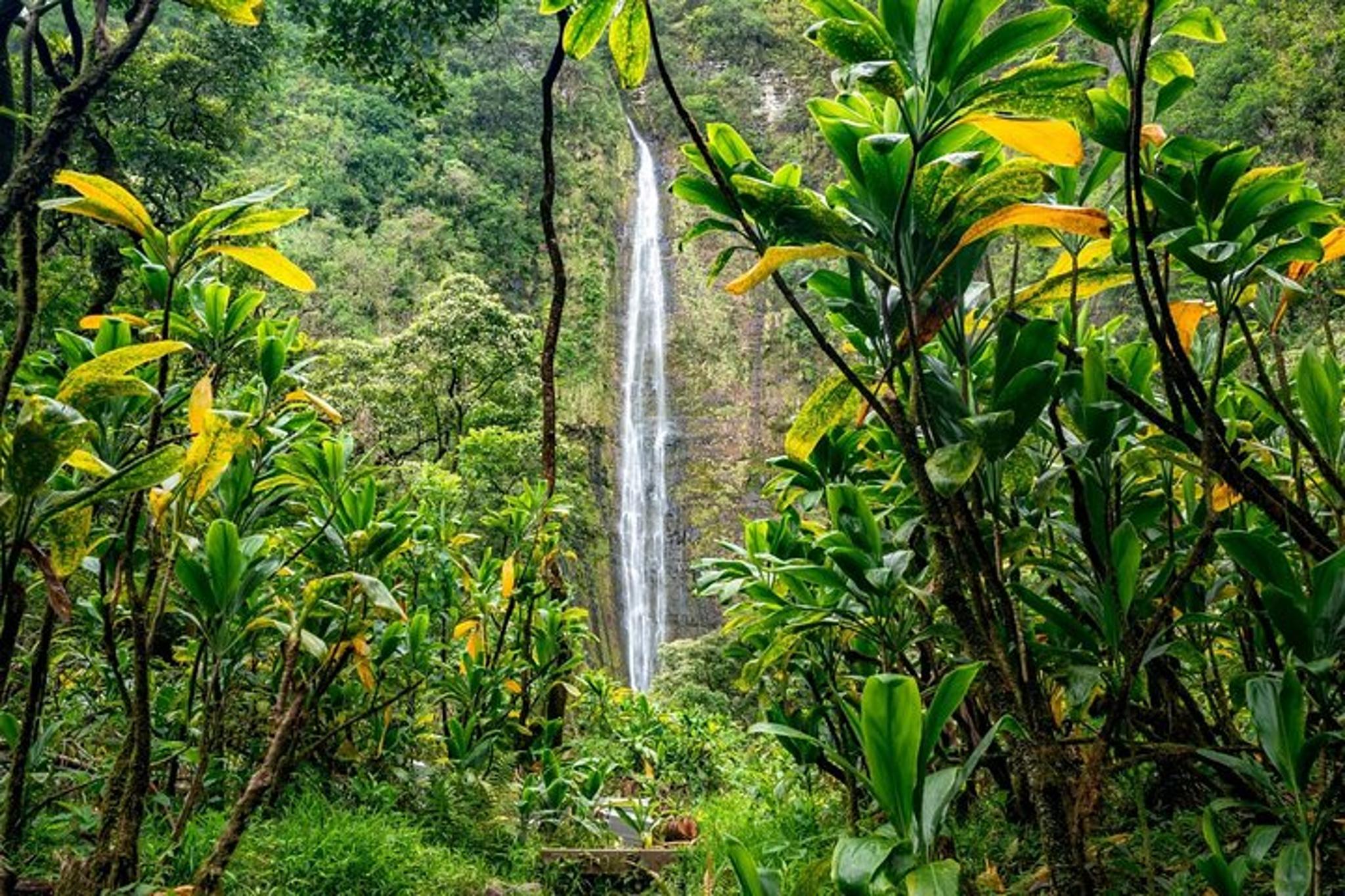 Maui Road to Hana and Haleakala Sunset Tour - Image 3