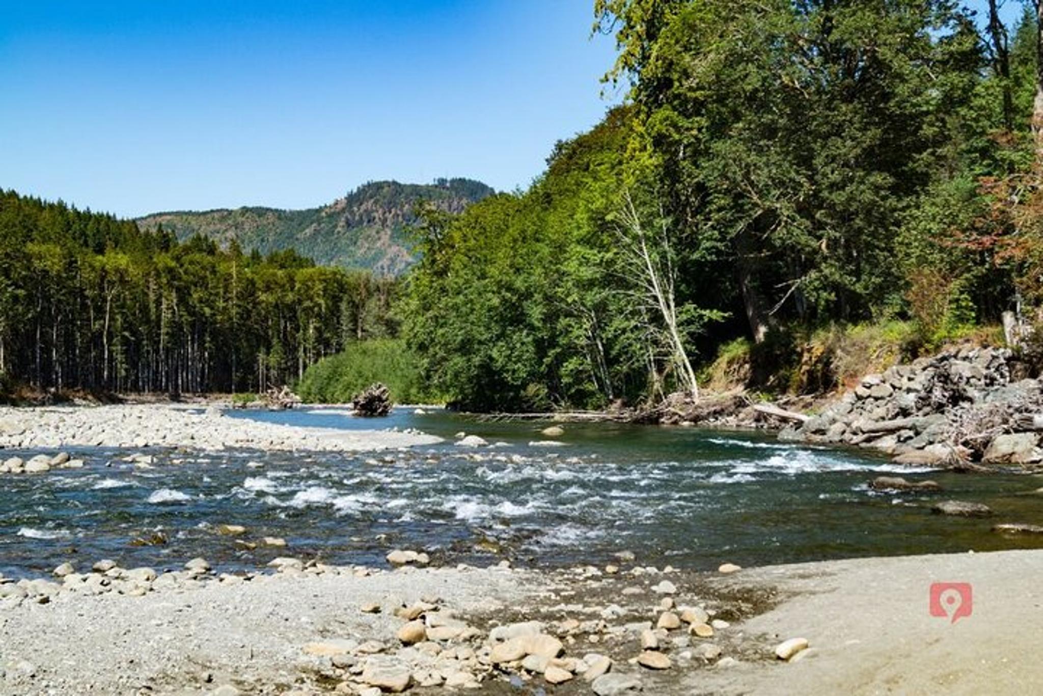 Olympic National Park Self-Guided Audio Driving Tour - Image 6