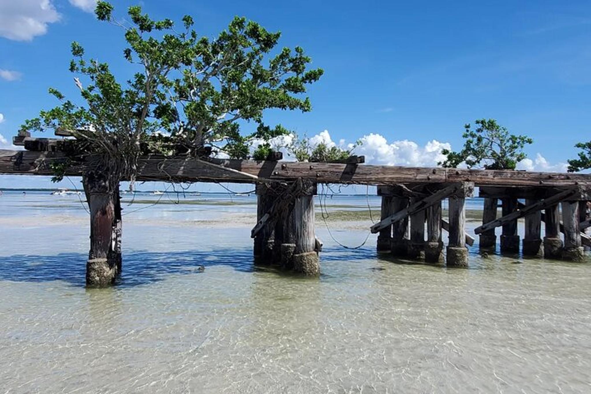 Englewood Sand Bar Adventure Boat Tour