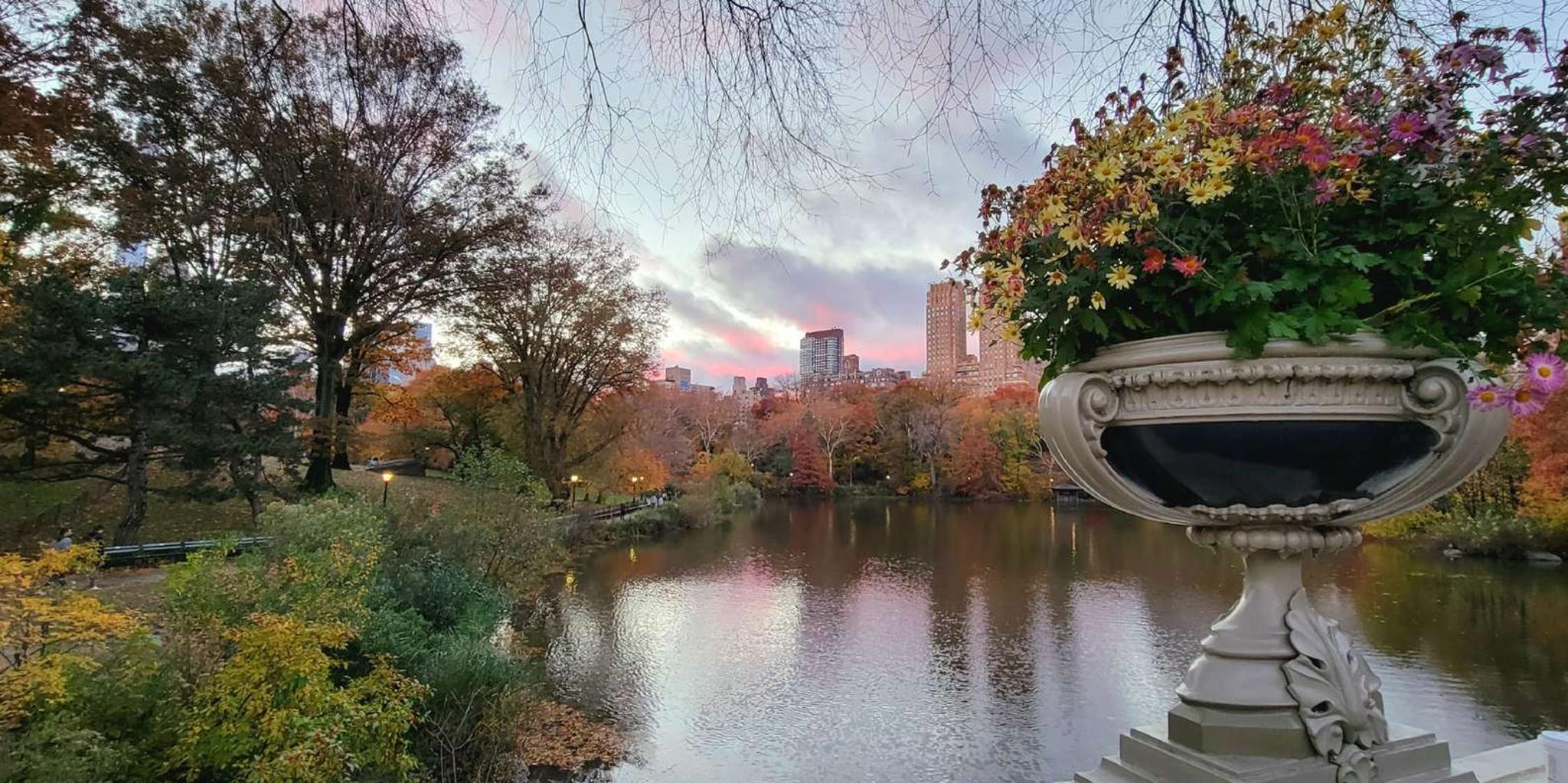 New York Central Park Walking Tour - Image 5