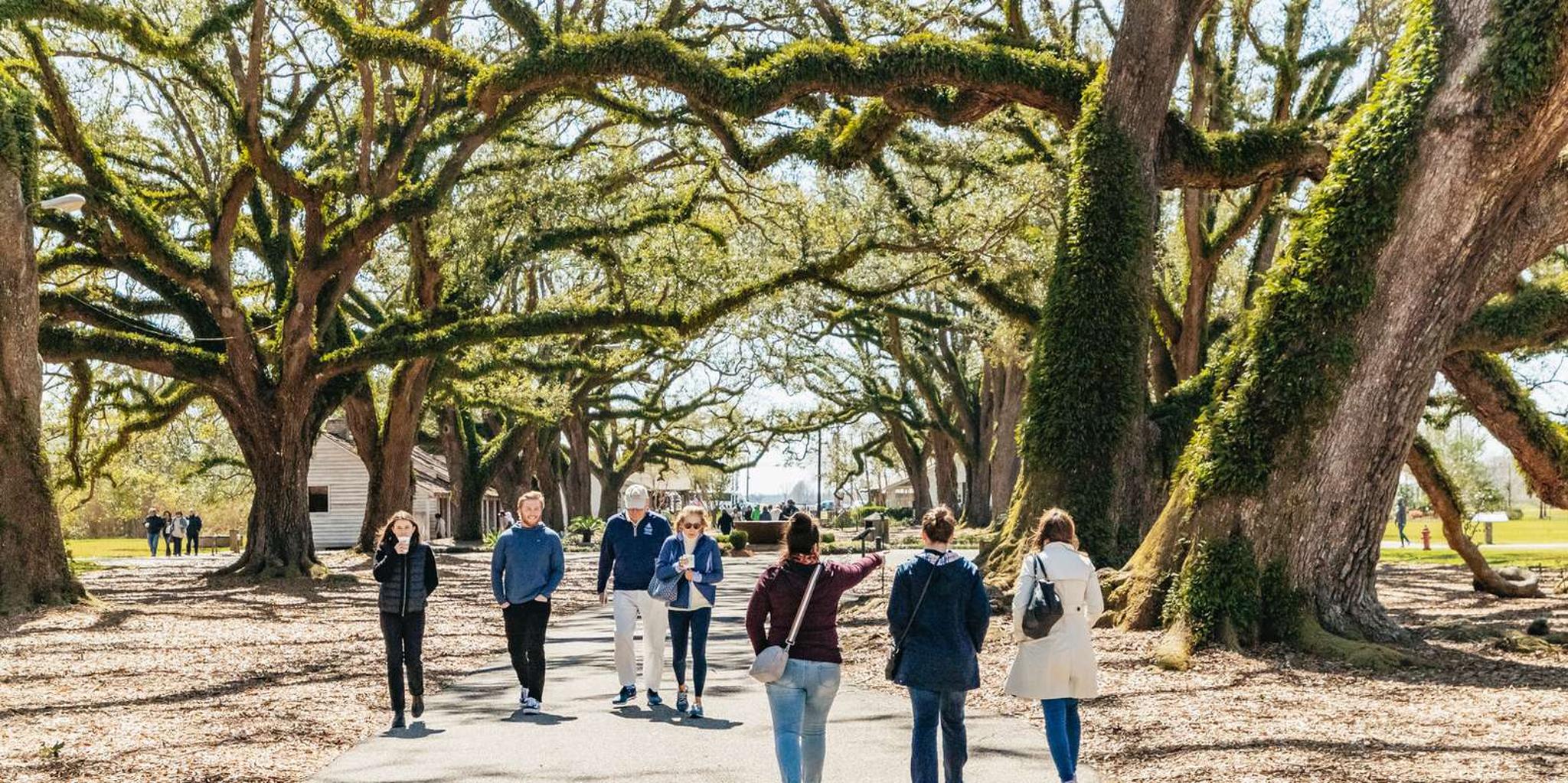 New Orleans Oak Alley Plantation and Swamp Tour - Image 5