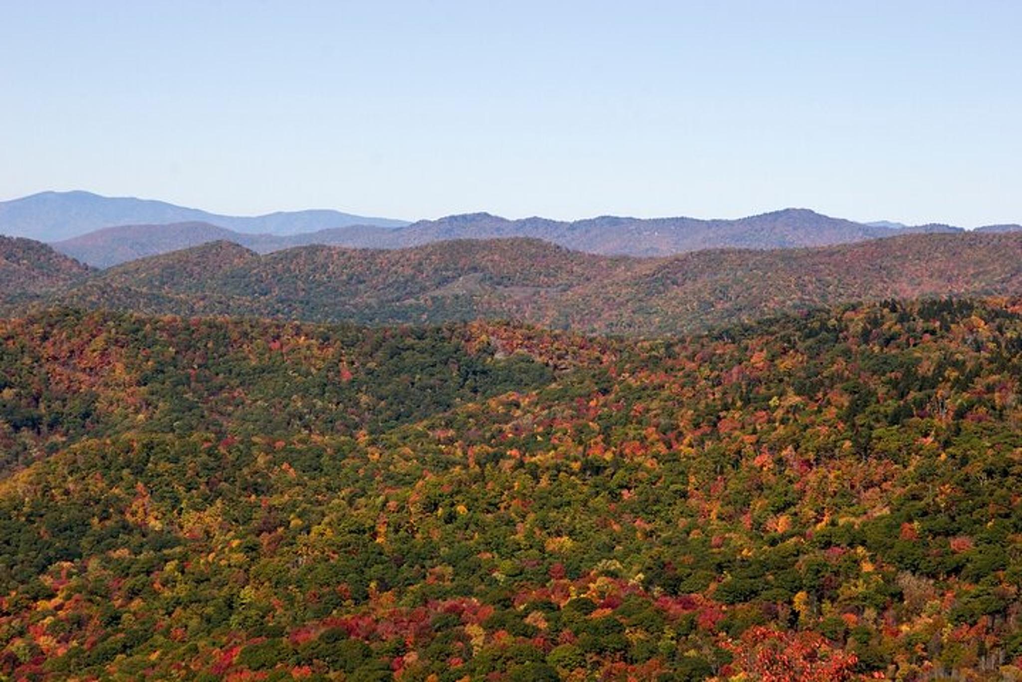 Blue Ridge Mountains Scenic Driving Tour - Image 5