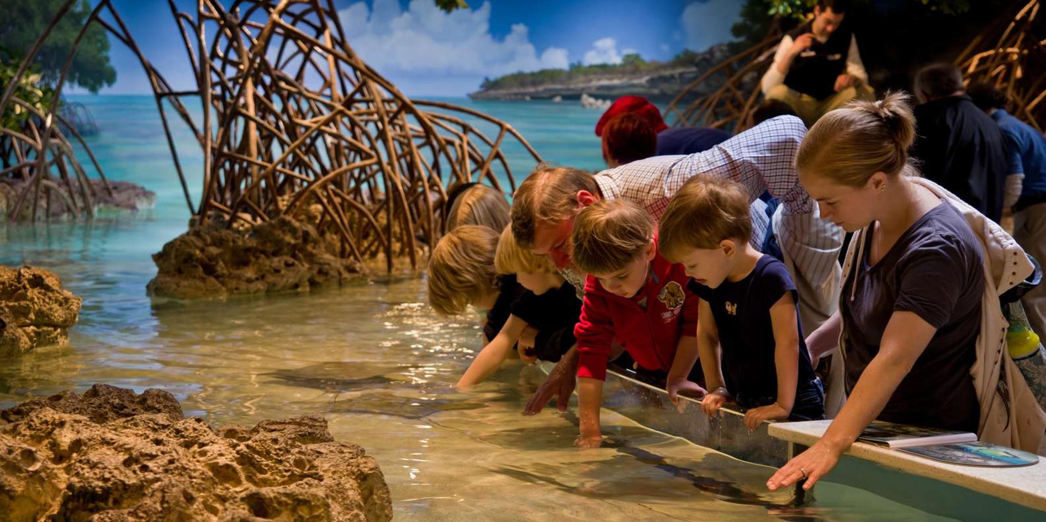 Boston CityPASS: 4 Attractions - Image 2