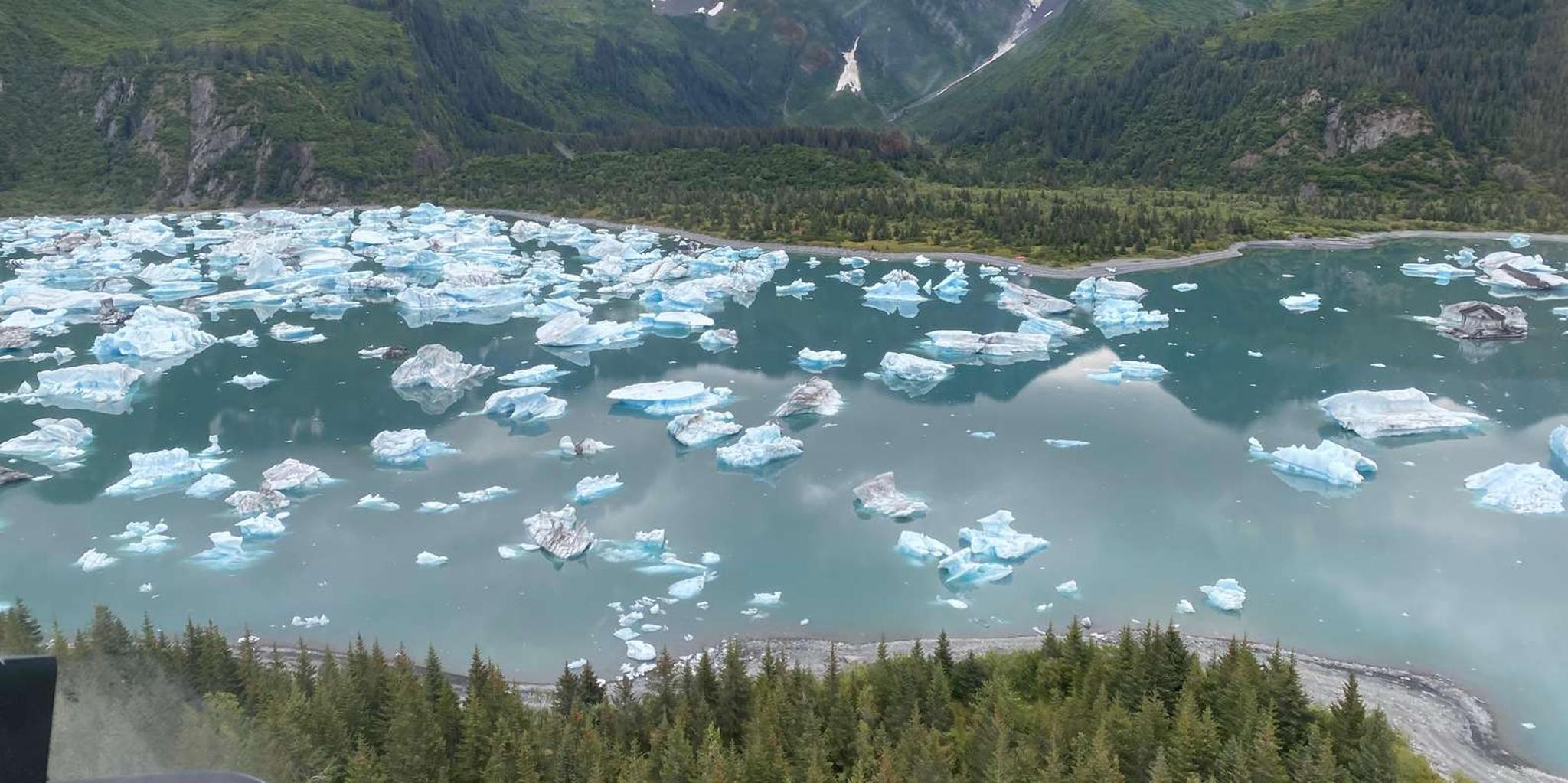 Seward Bear Glacier Helicopter Tour - Image 2