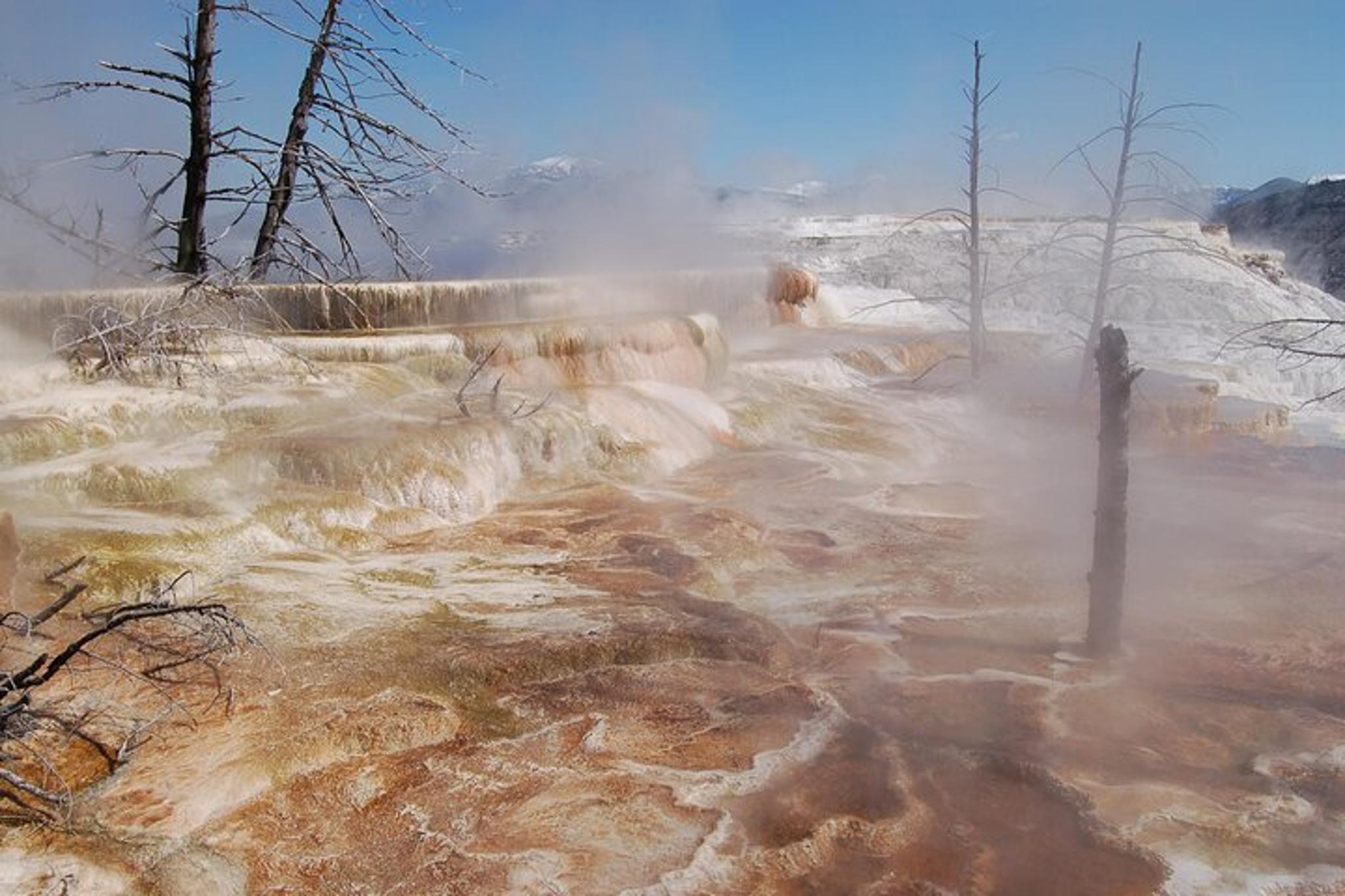 Yellowstone Upper Loop Tour - Image 4