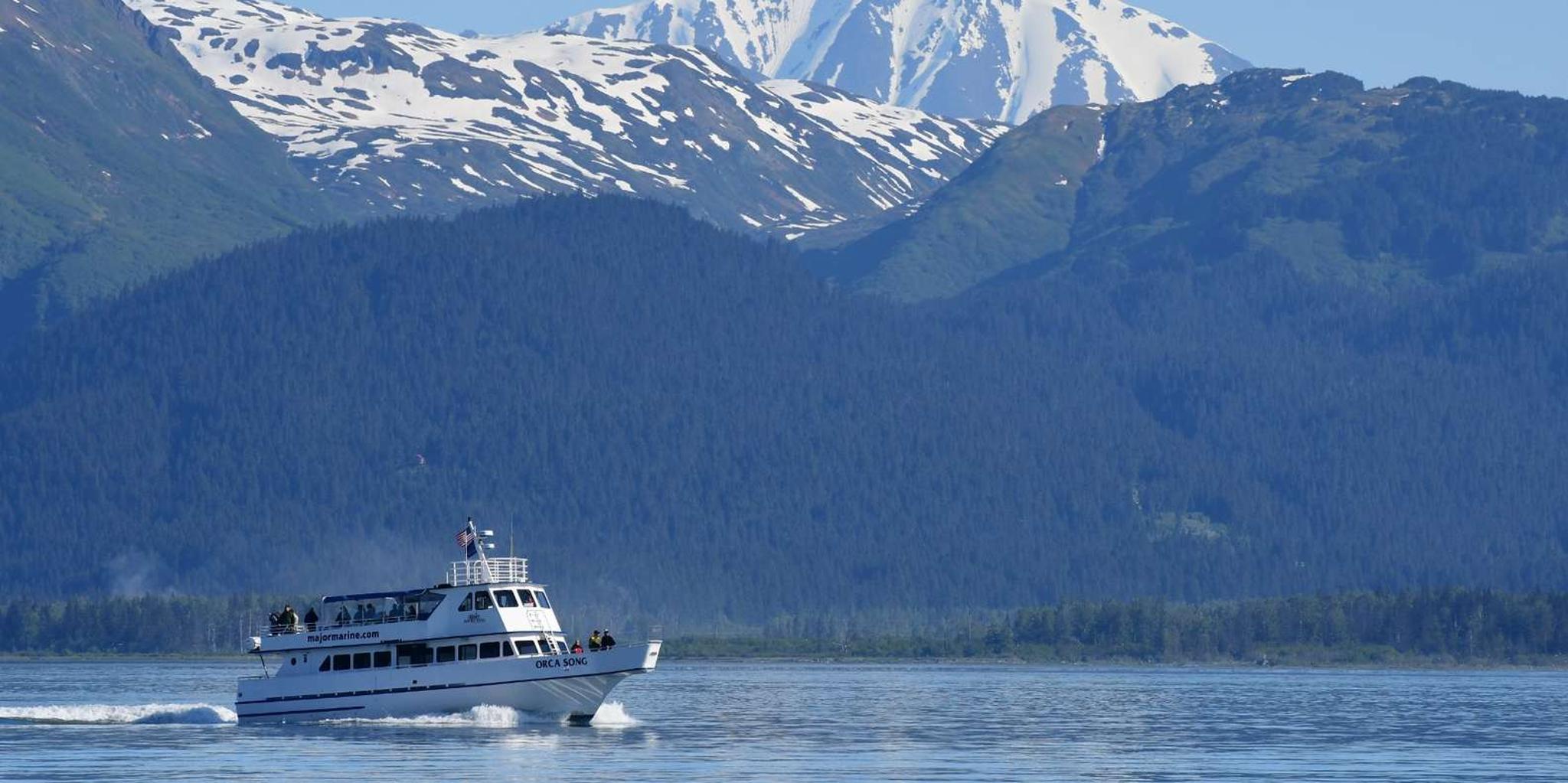 Seward Orca Quest Cruise in Resurrection Bay 4 hr