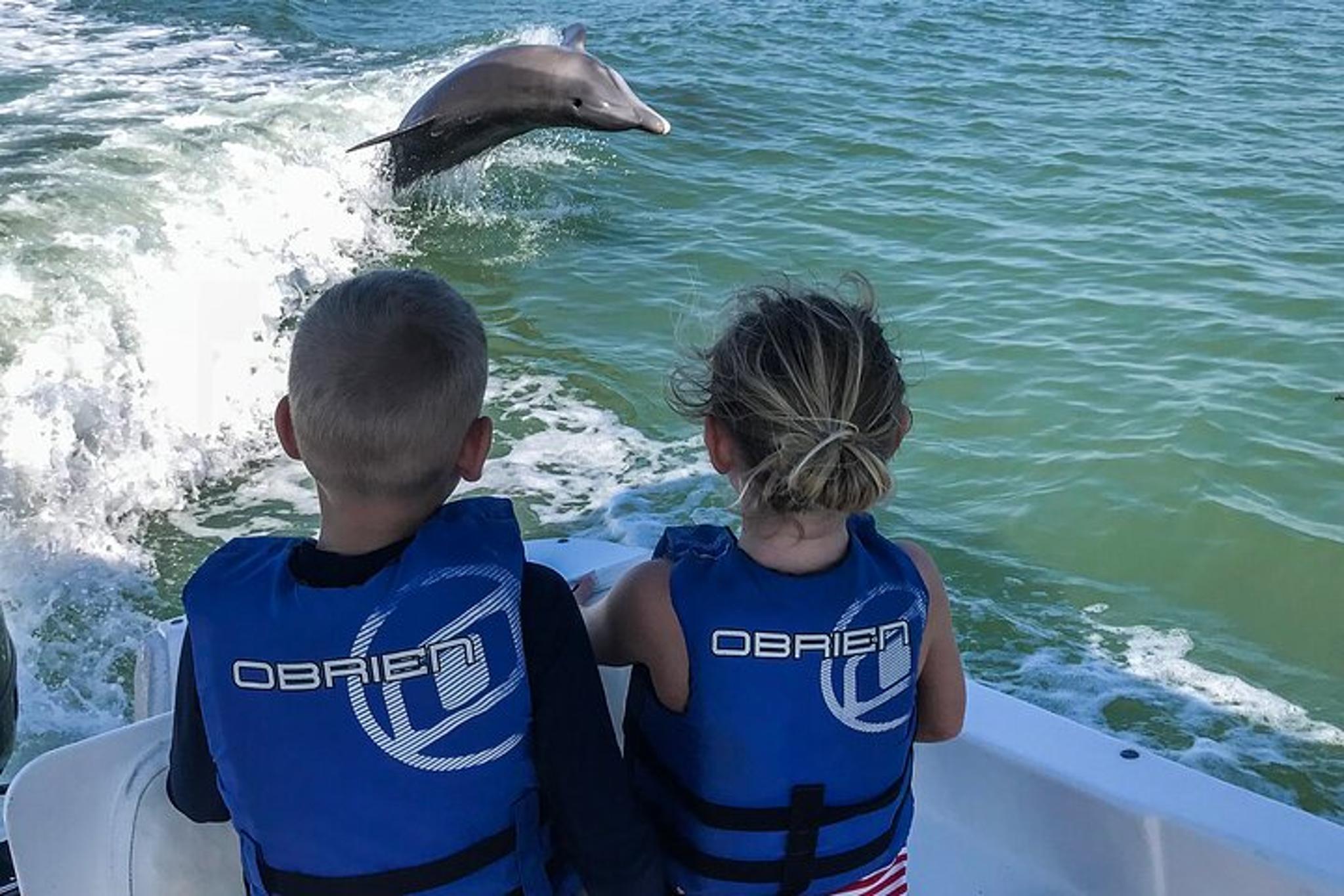 Marco Island Dolphin Watching and Tubing Adventure - Image 4