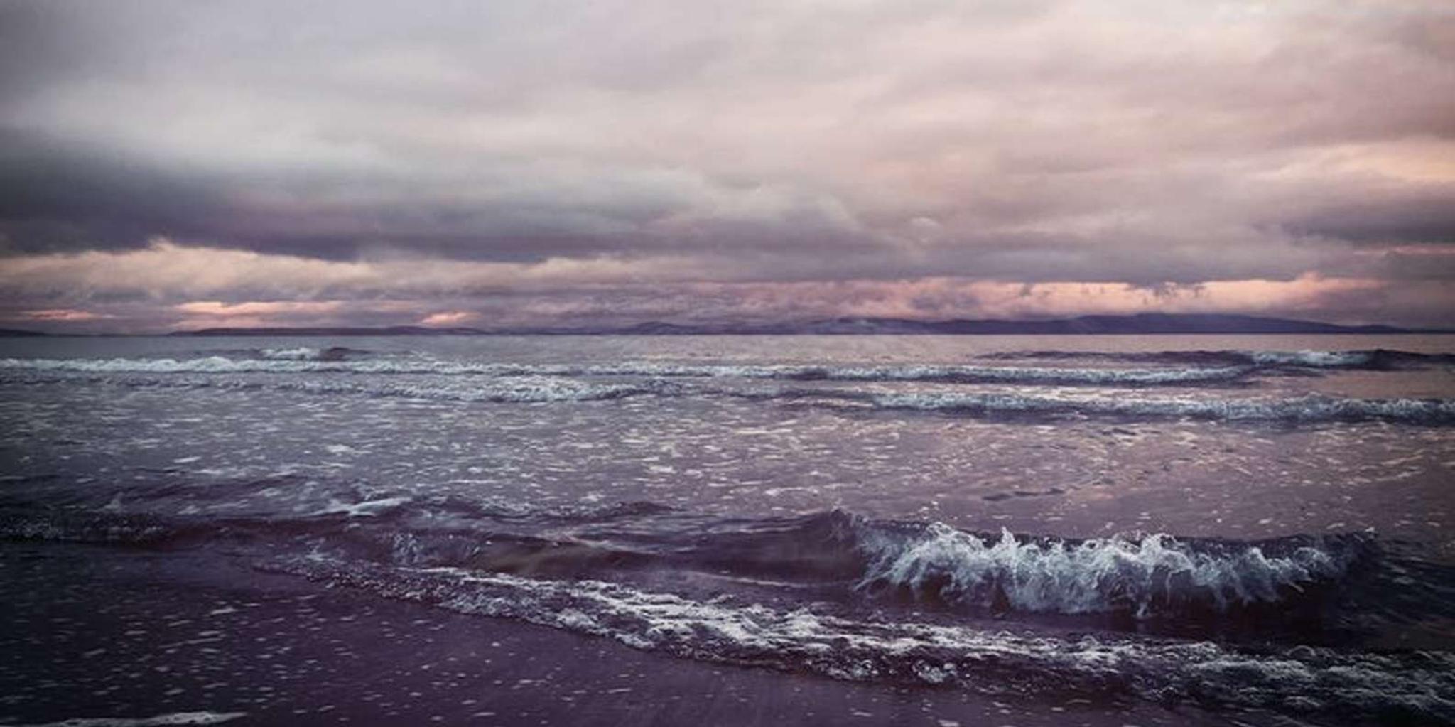 Juneau Whale Watching and Mendenhall Glacier Tour - Image 4