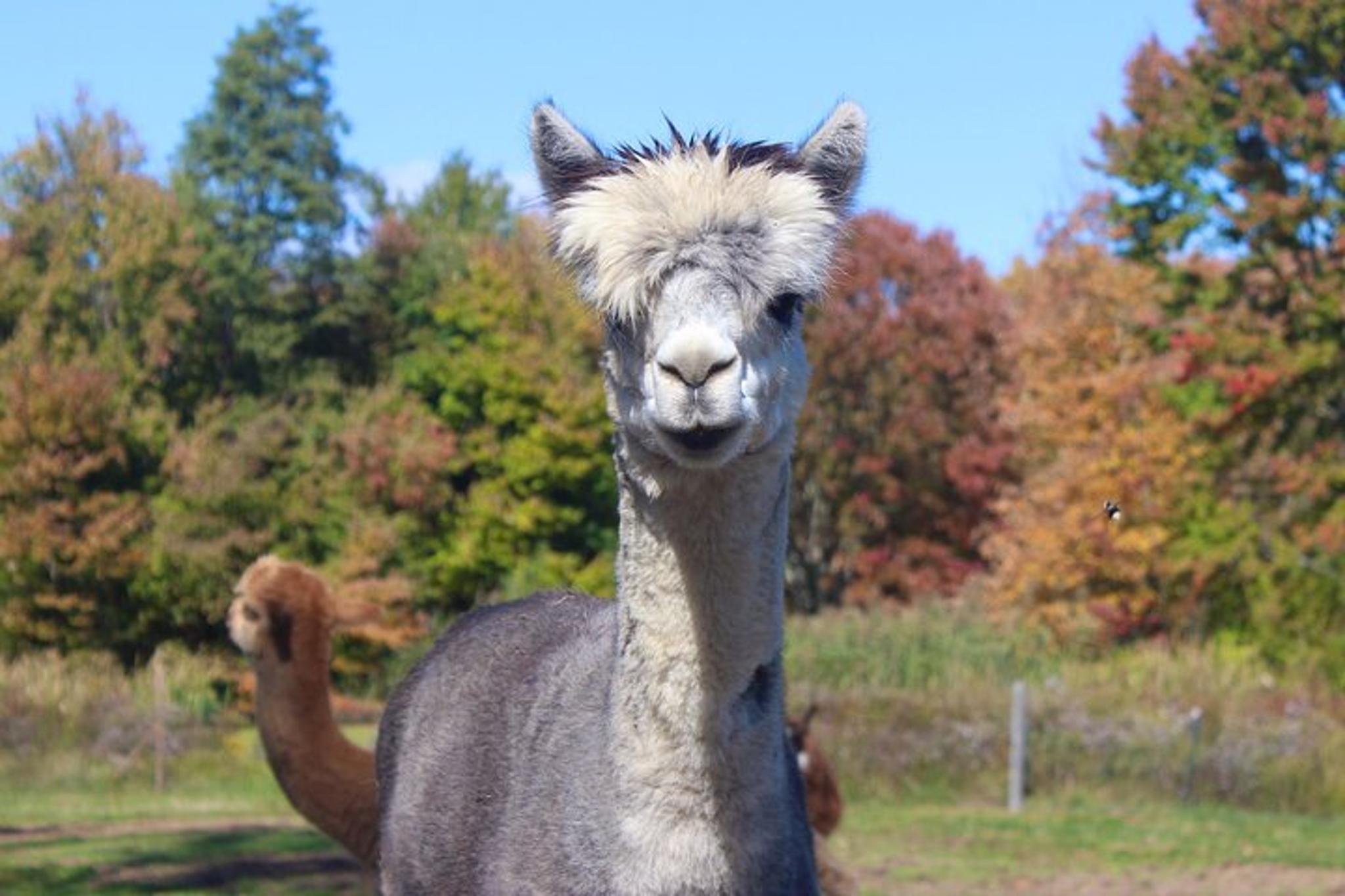 Clinton Corners Farm Tour - Image 3