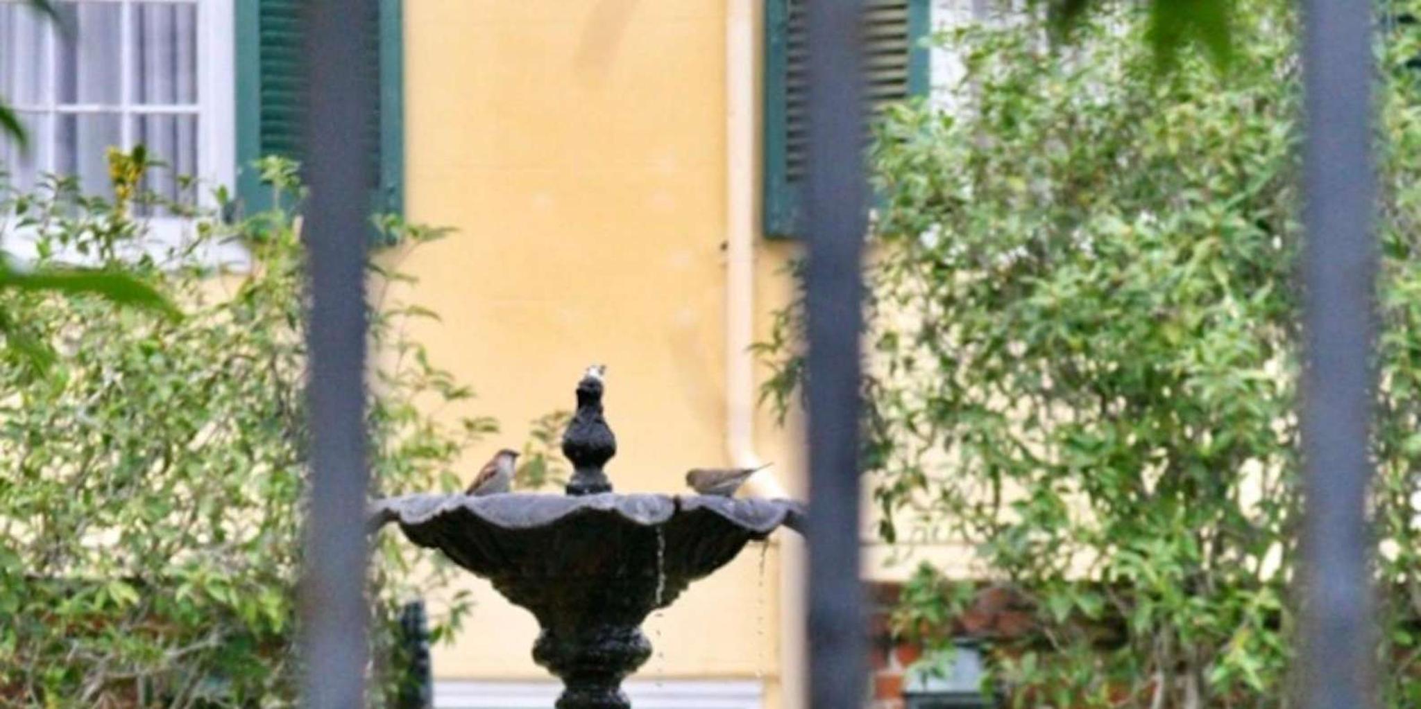 New Orleans Private Driving Tour - Image 2