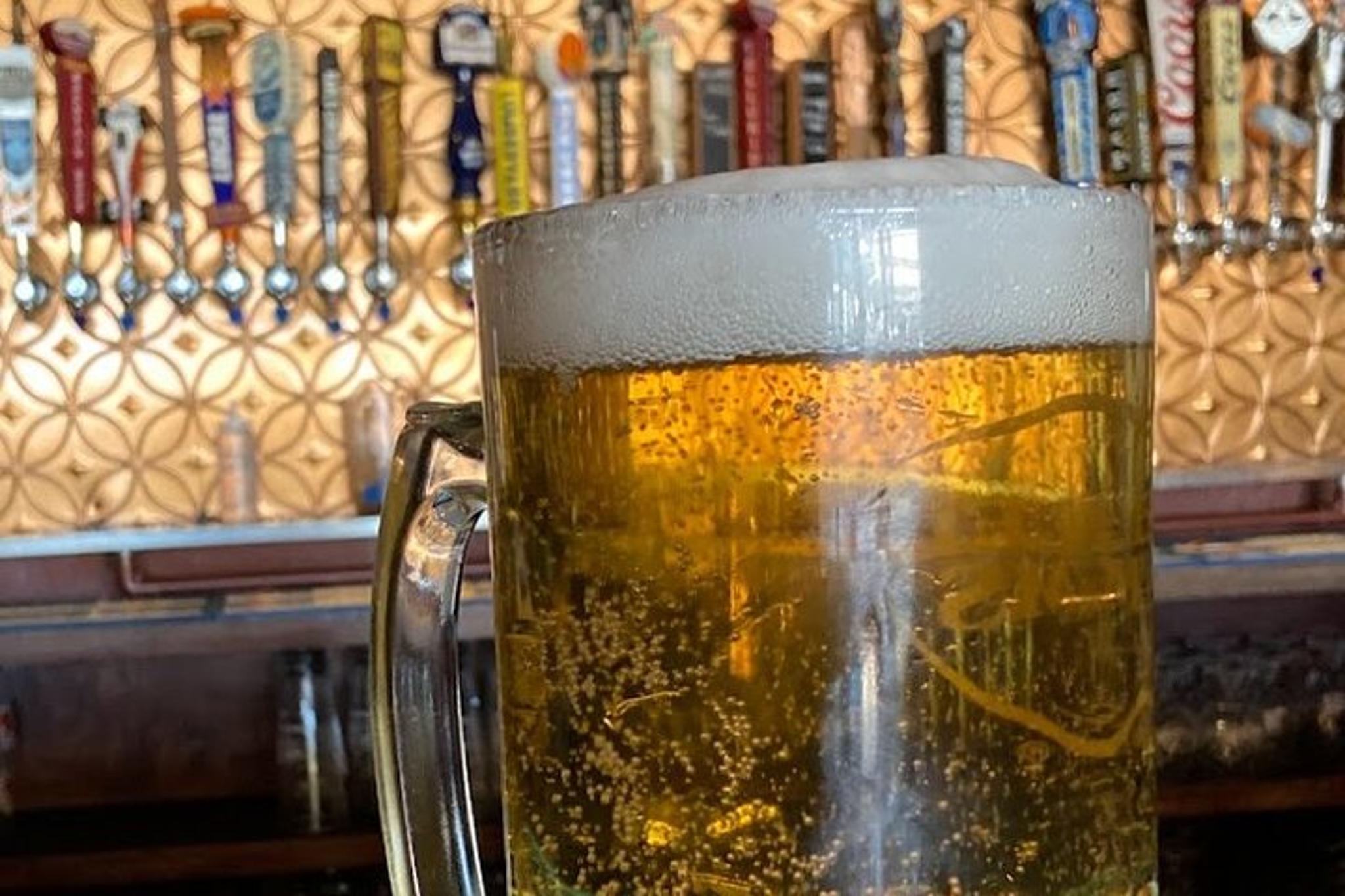 Flagstaff Bike and Beer Tour 2.5 hr