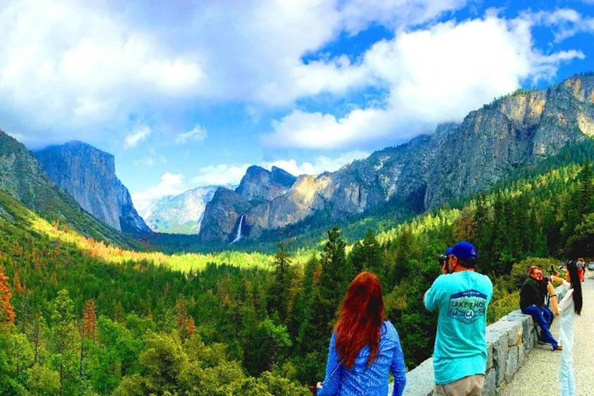 San Francisco Yosemite National Park Private Tour - Image 4