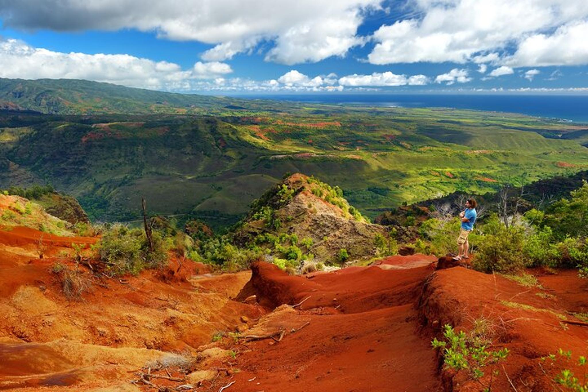 Kauai Waimea Canyon & Koke'e Day Trip from Oahu - Image 2