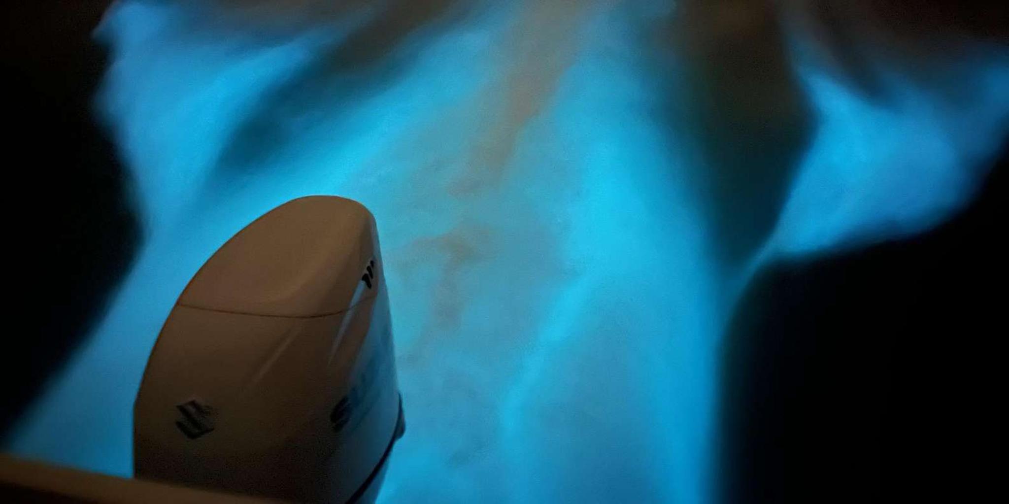 Cocoa Beach Bioluminescence Boat Tour 2 hr - Image 3