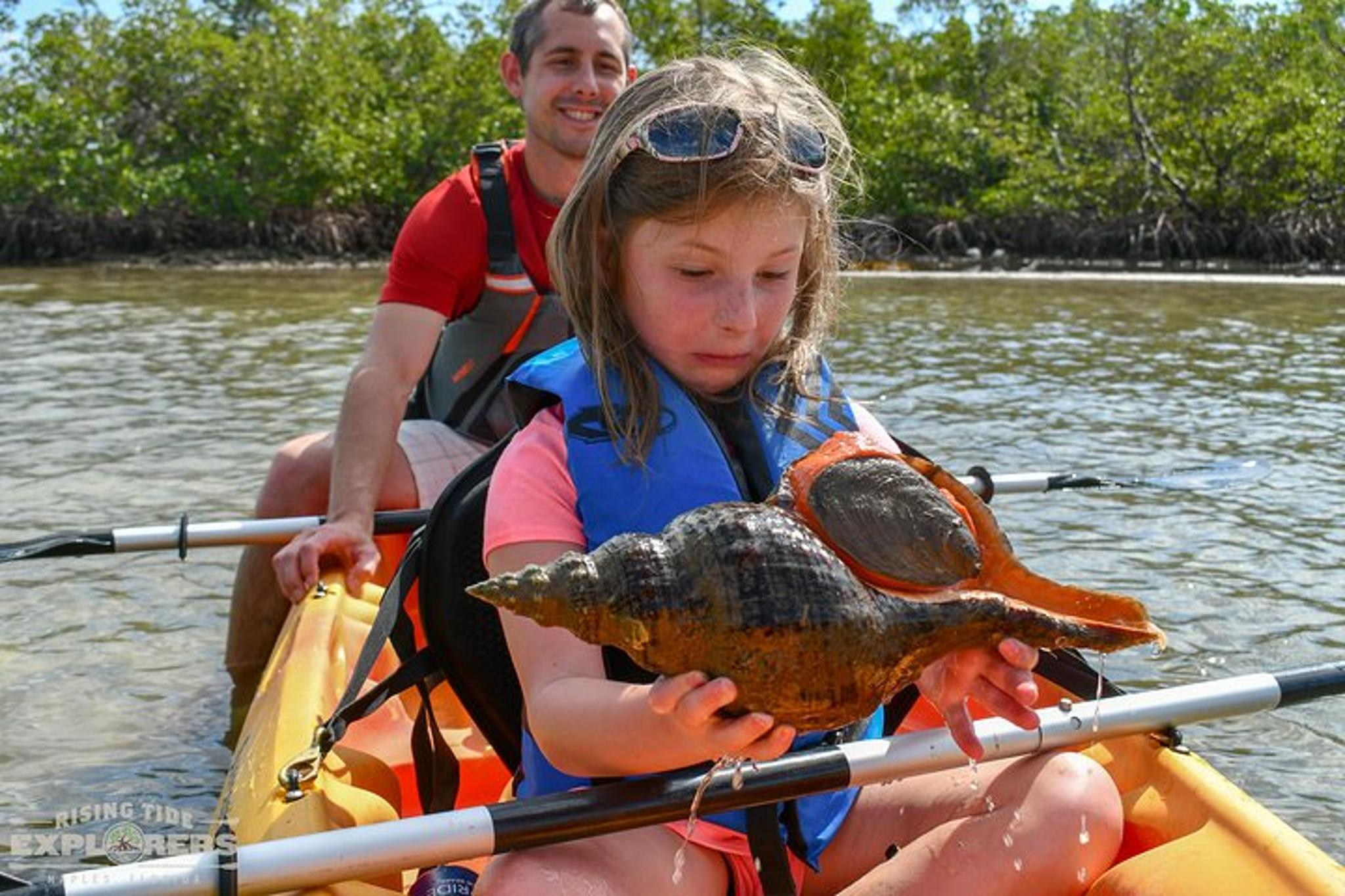 Naples Mangrove Kayak Tour with Biologist Guides - Image 3