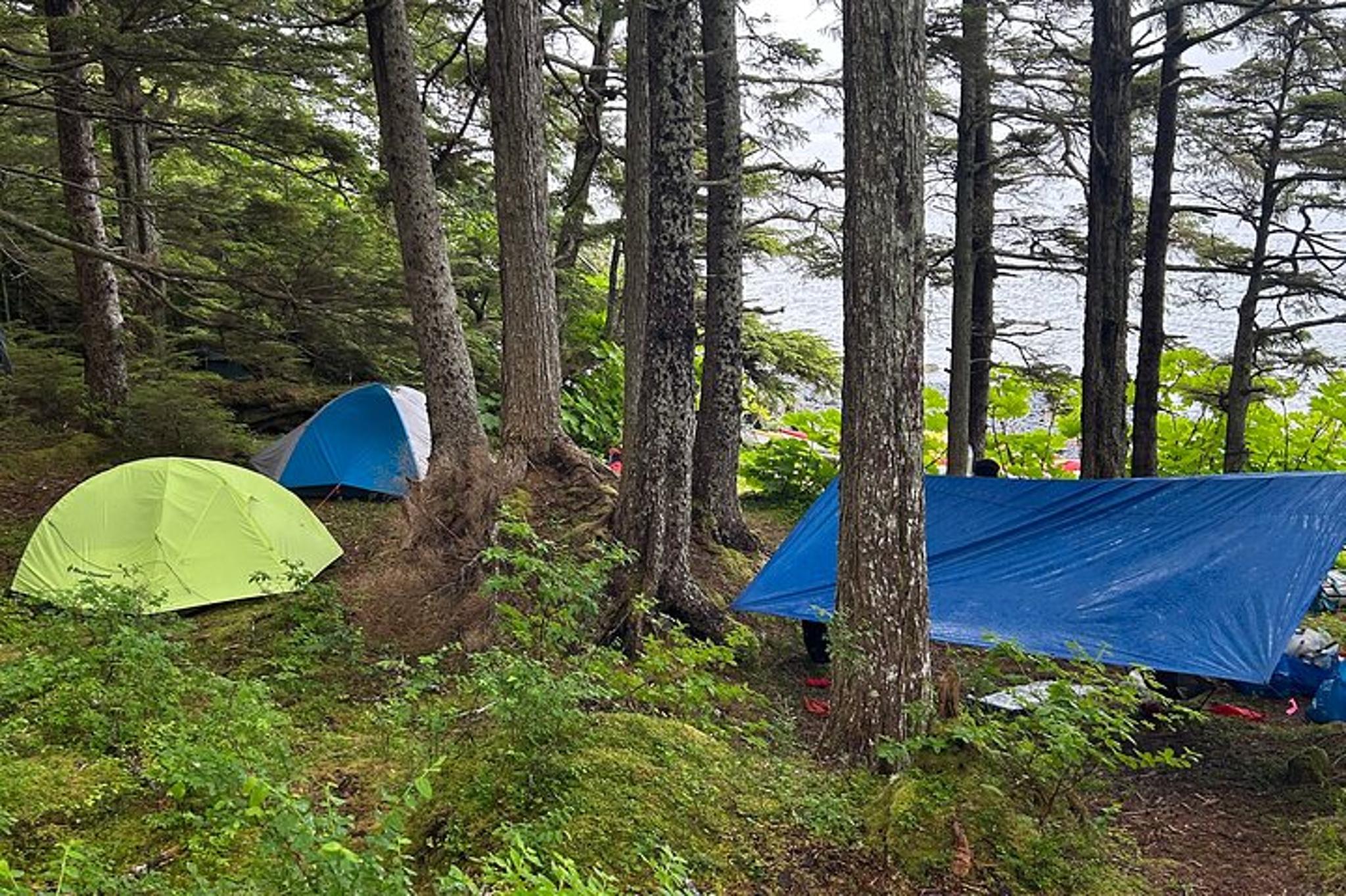 Sitka Kayak Expedition - Image 6