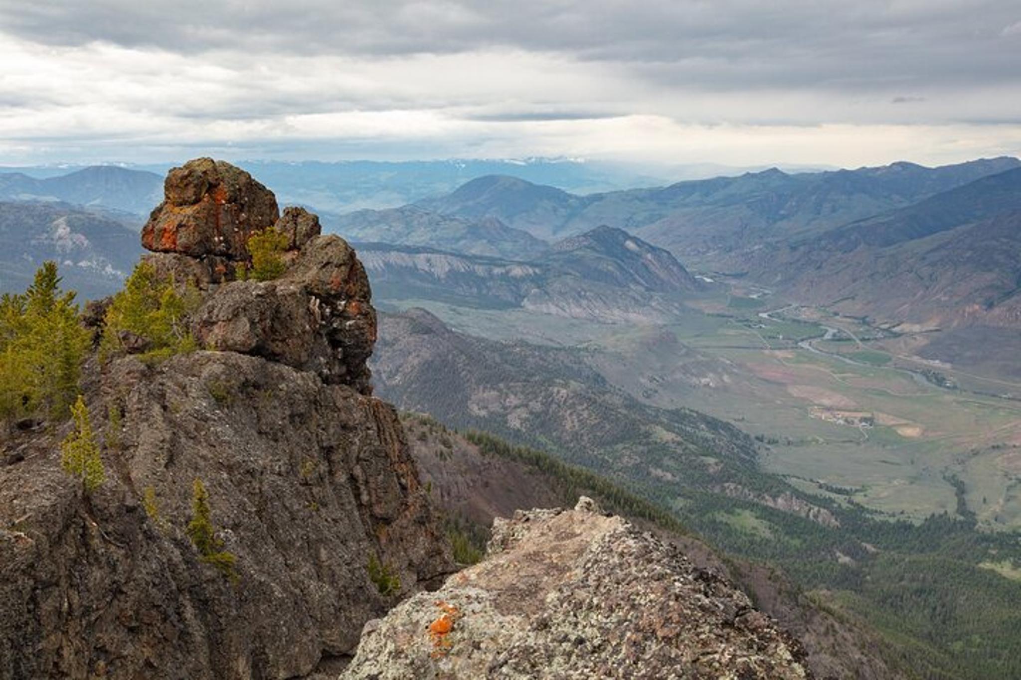 Yellowstone Sepulcher Mountain Naturalist Hike - Image 6
