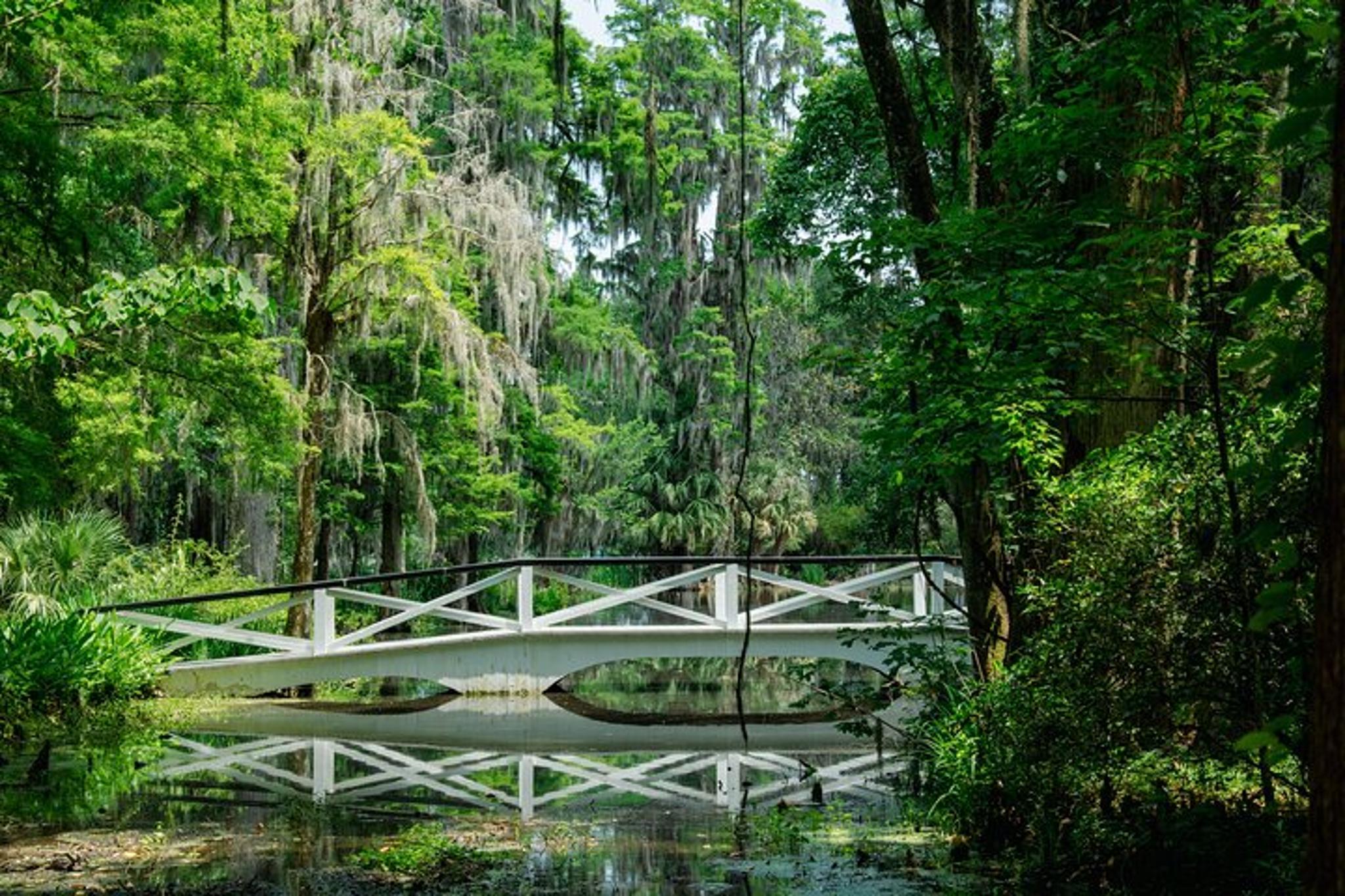 Charleston Plantation and City Bus Tour - Image 4