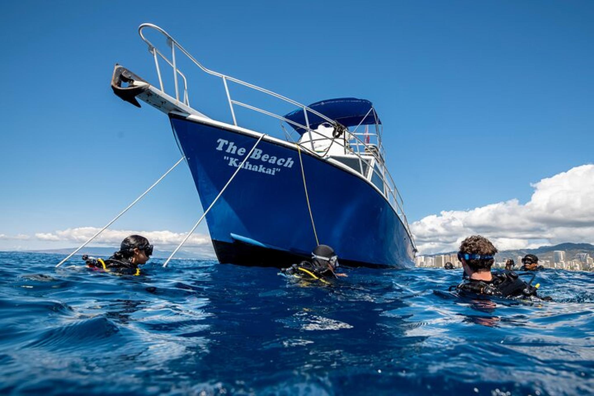 Honolulu Introductory Scuba Dive - Image 3